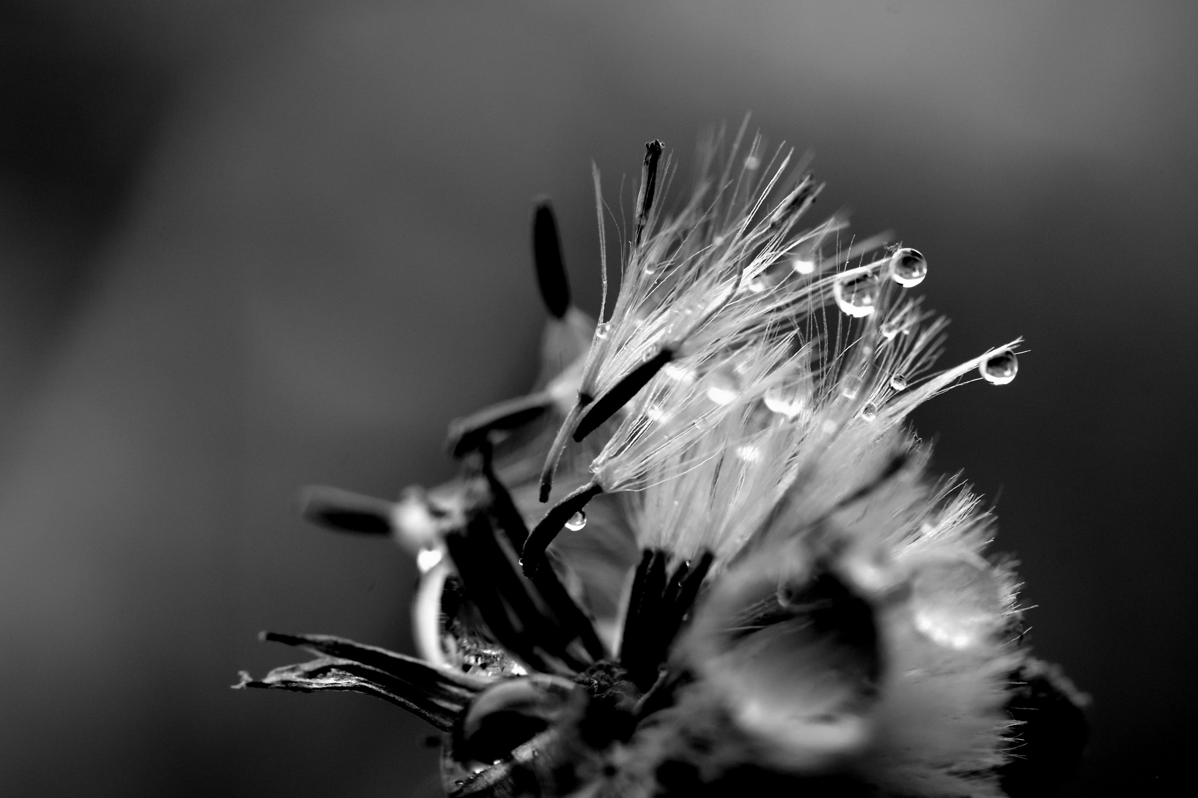 Un respiro, una lacrima...