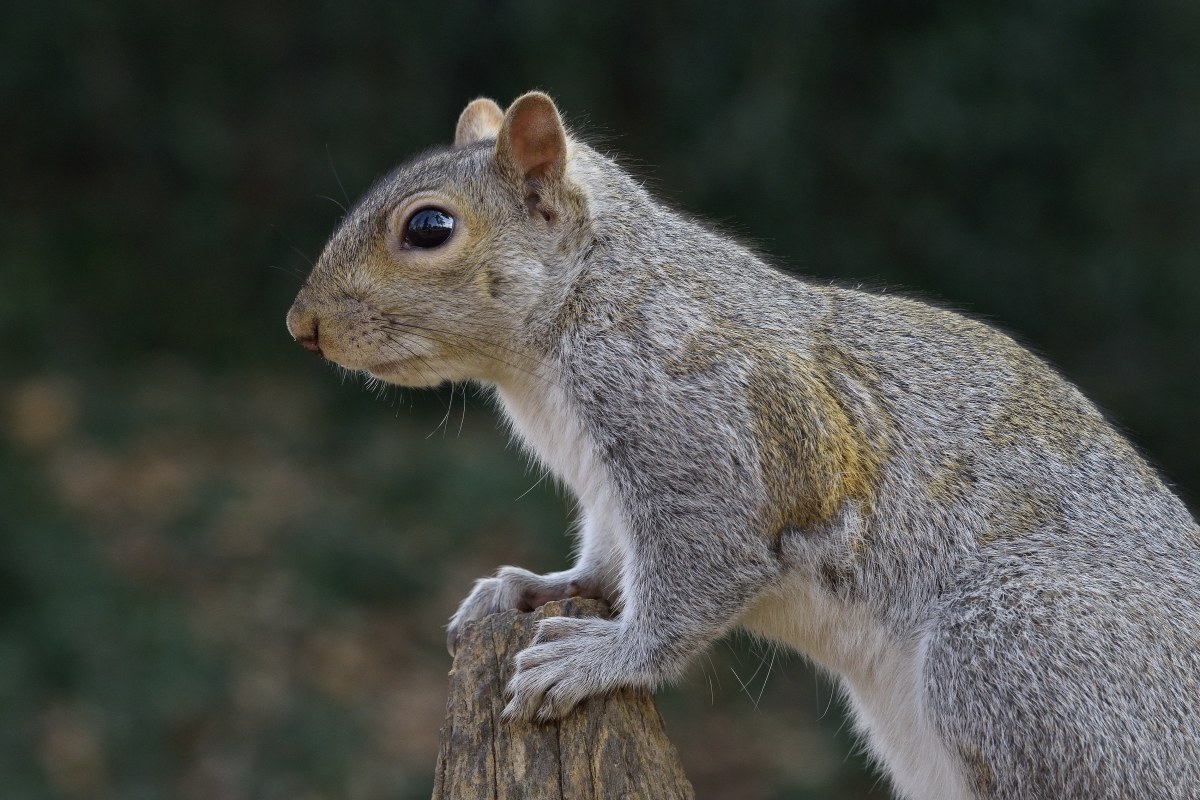 il mio profilo migliore.....................