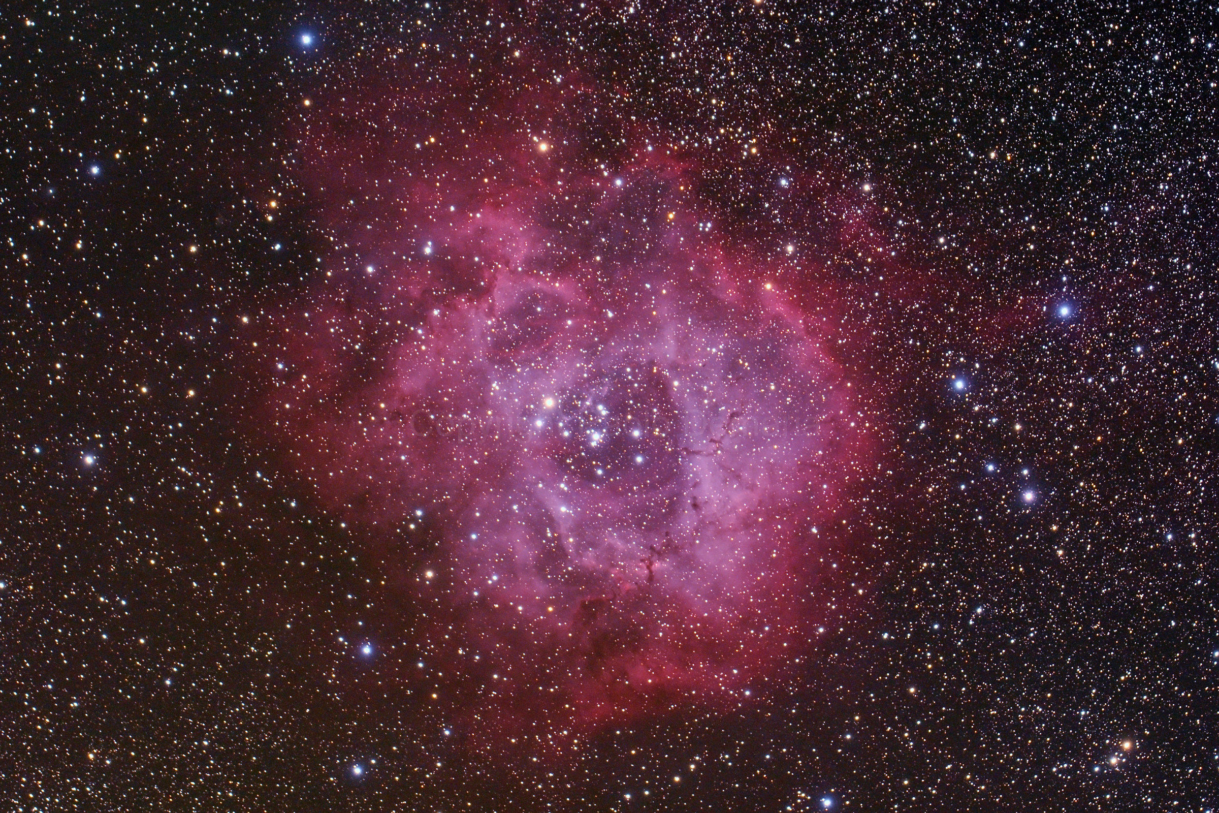 Rosette Nebula (NGC 2237)