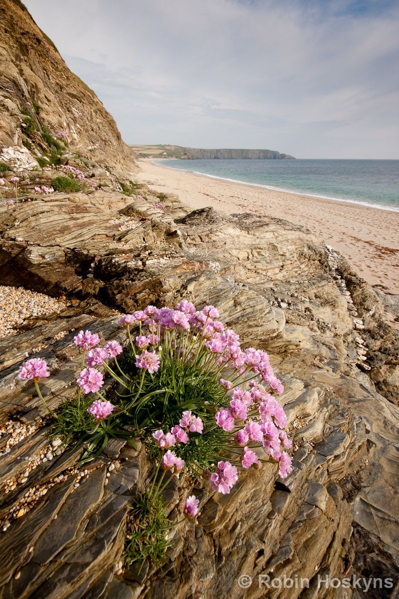 Gunwalloe