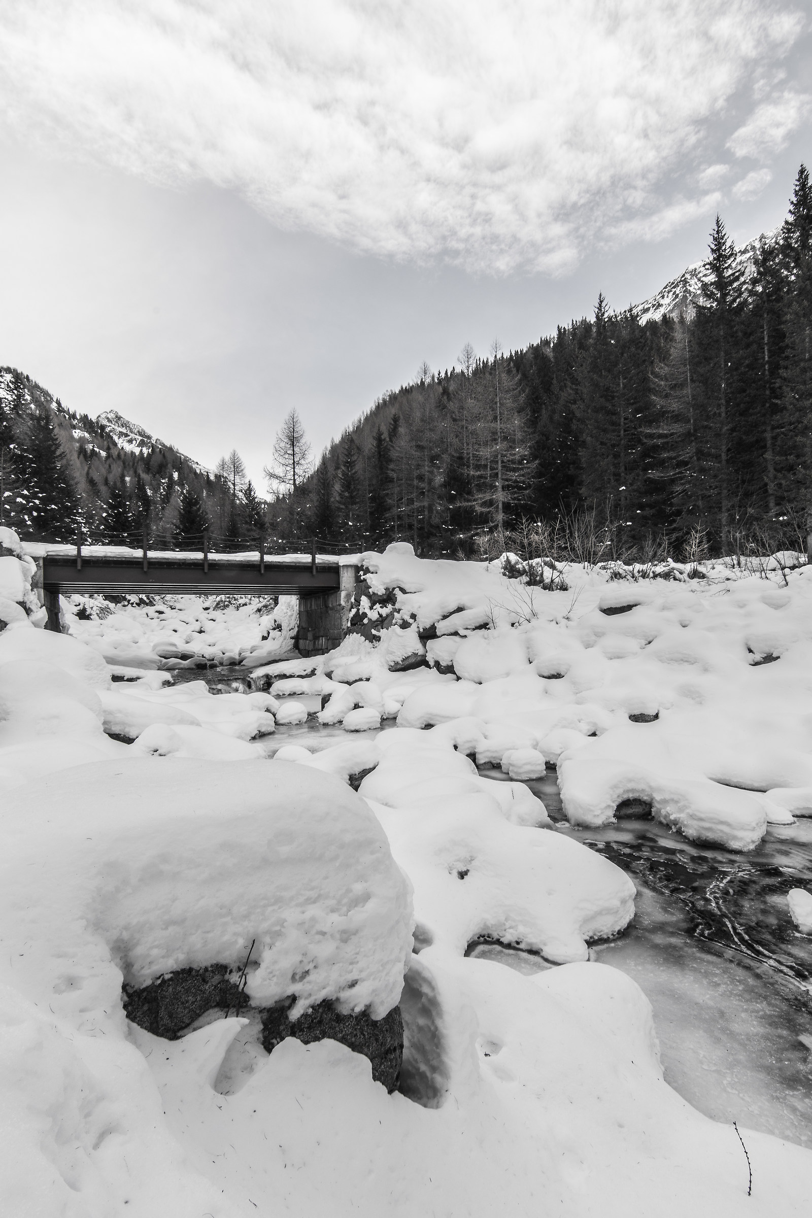 Molto bianco, poco nero!