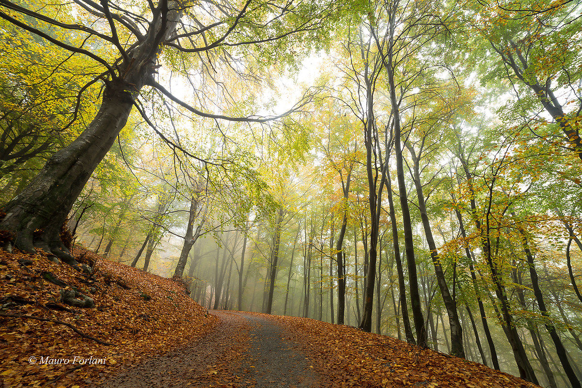 Autumn Color in the Valle d'Intelvi