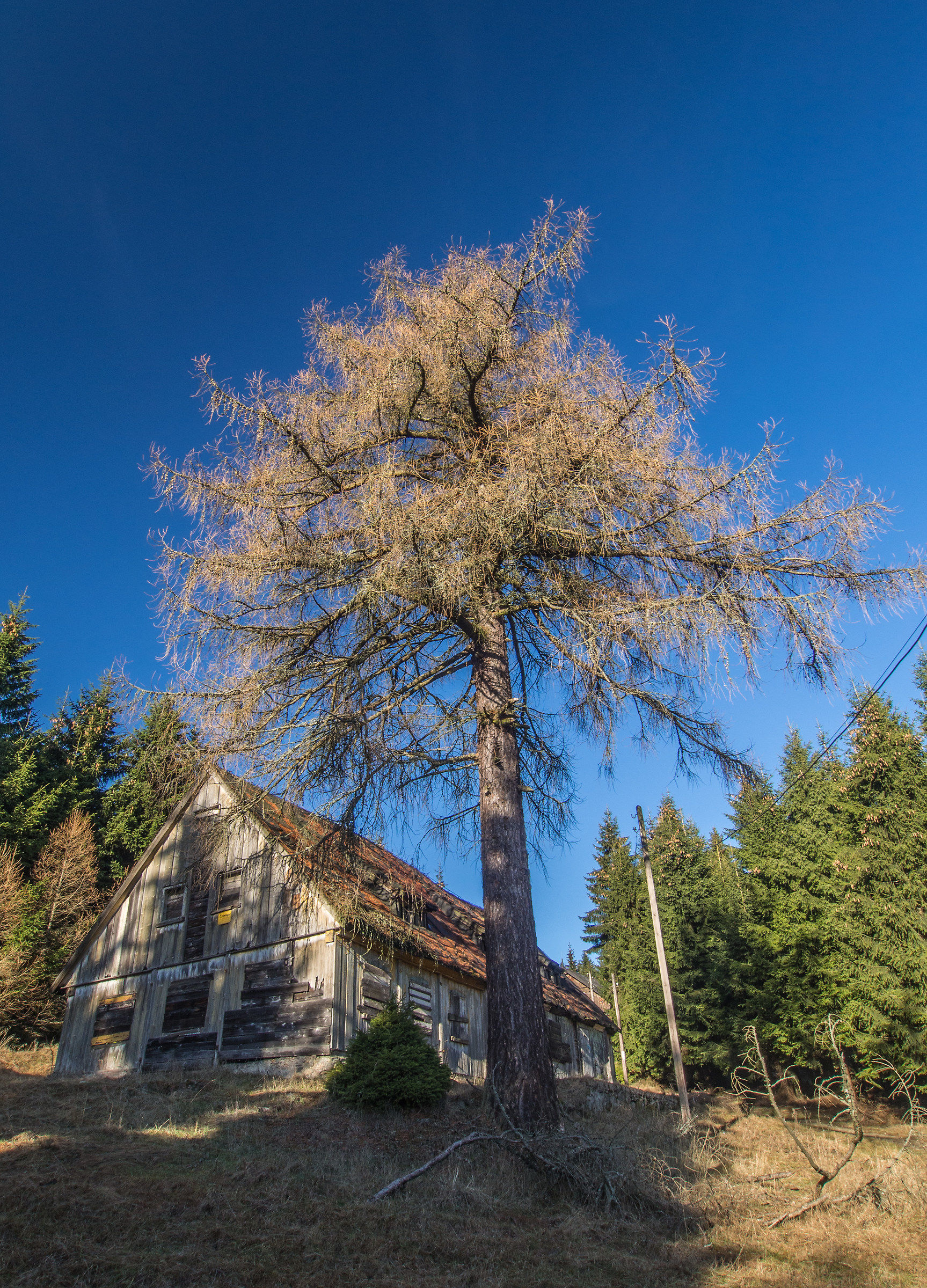 The old mountain house