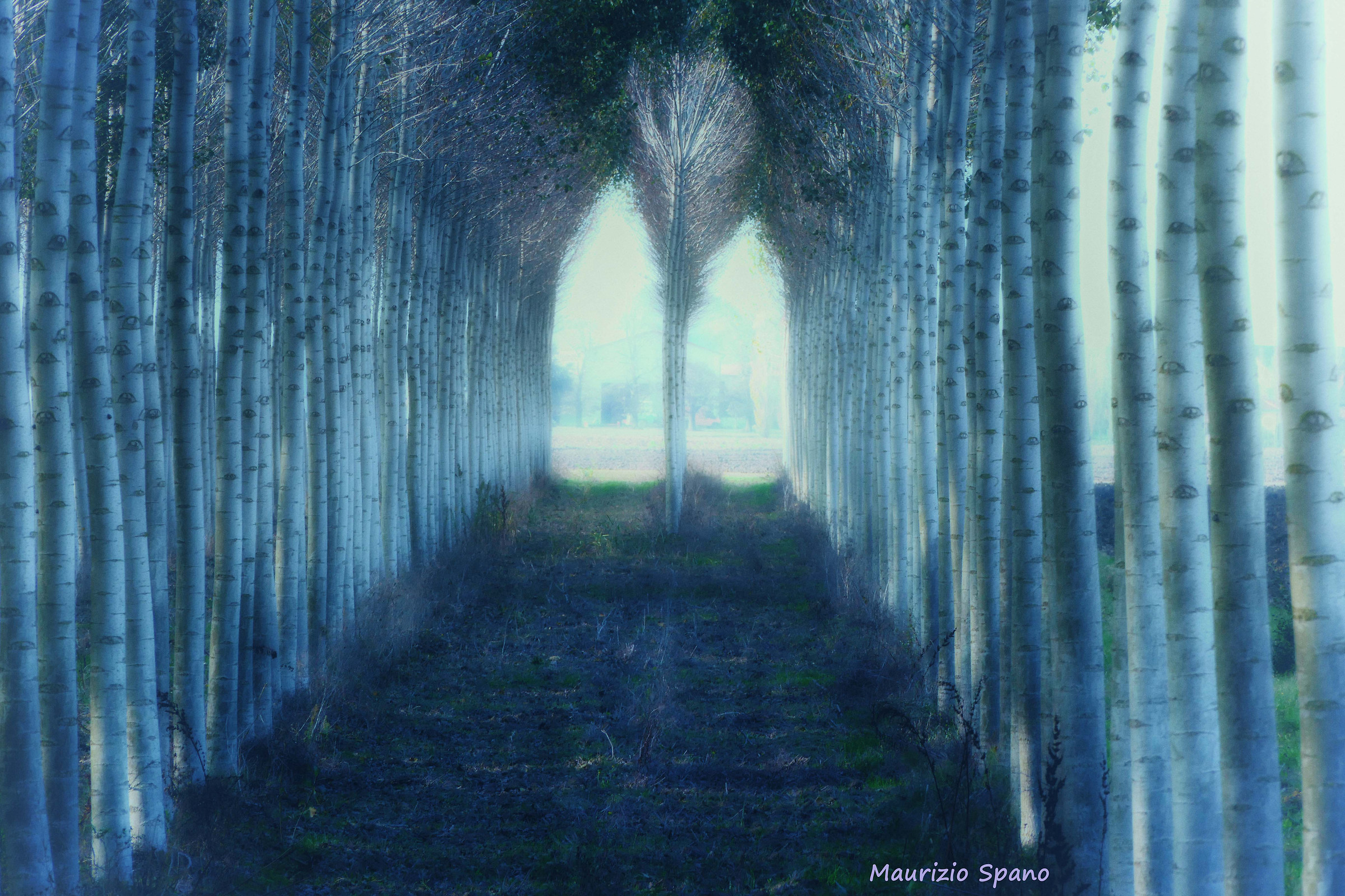 A passage and a light luntana