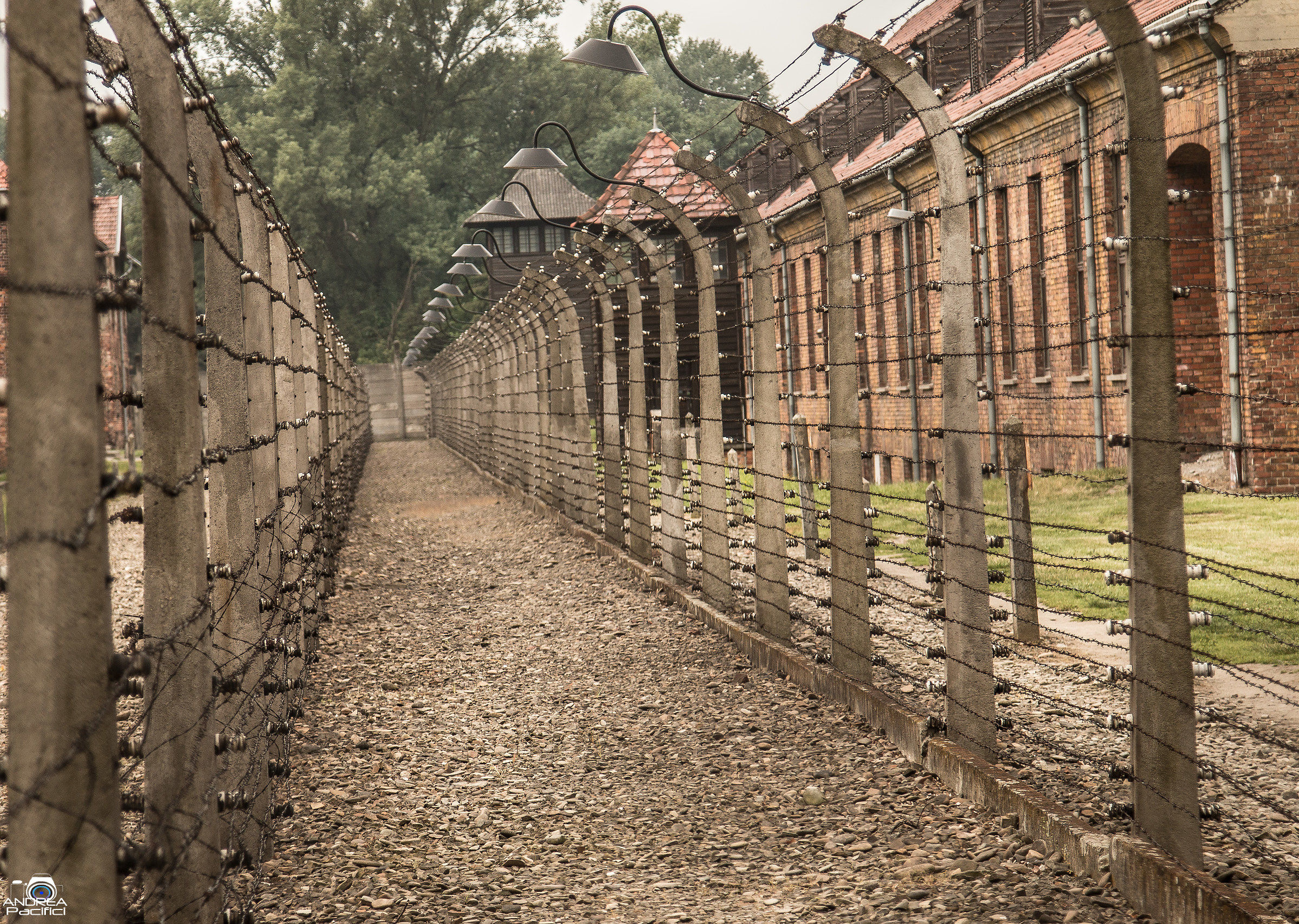 Auschwitz