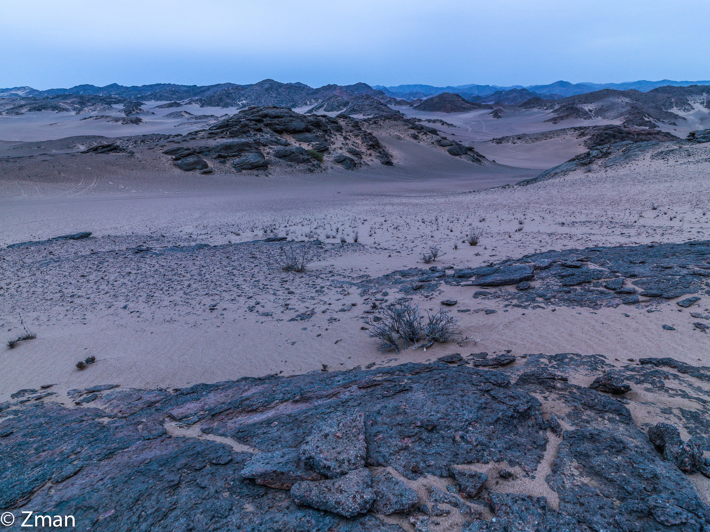 Selvatici della Namibia