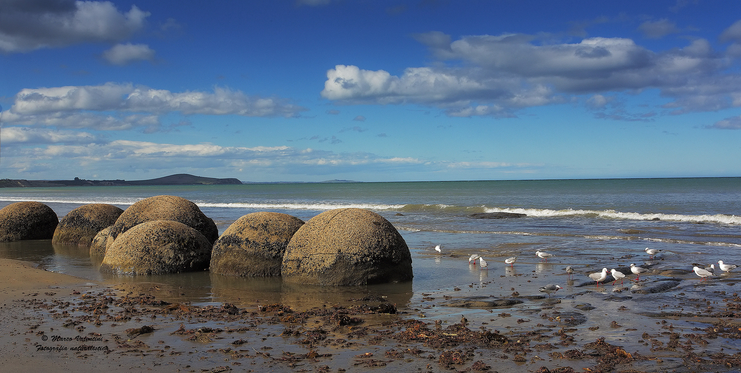 Moeraki boulders