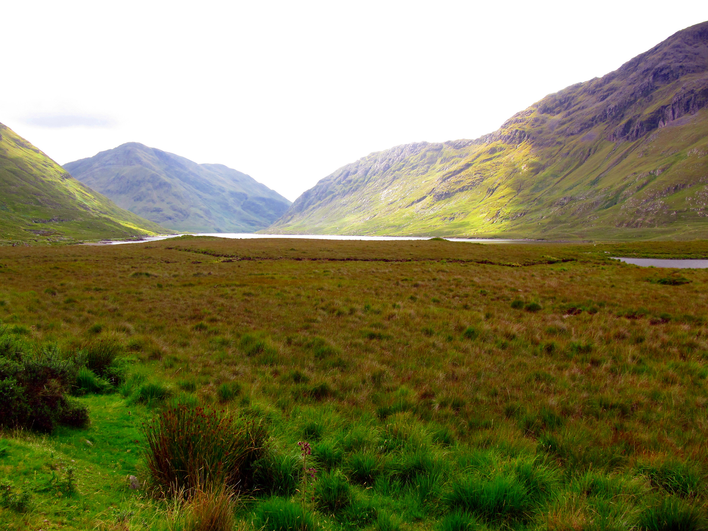 Sperduta per il Connemara national Park