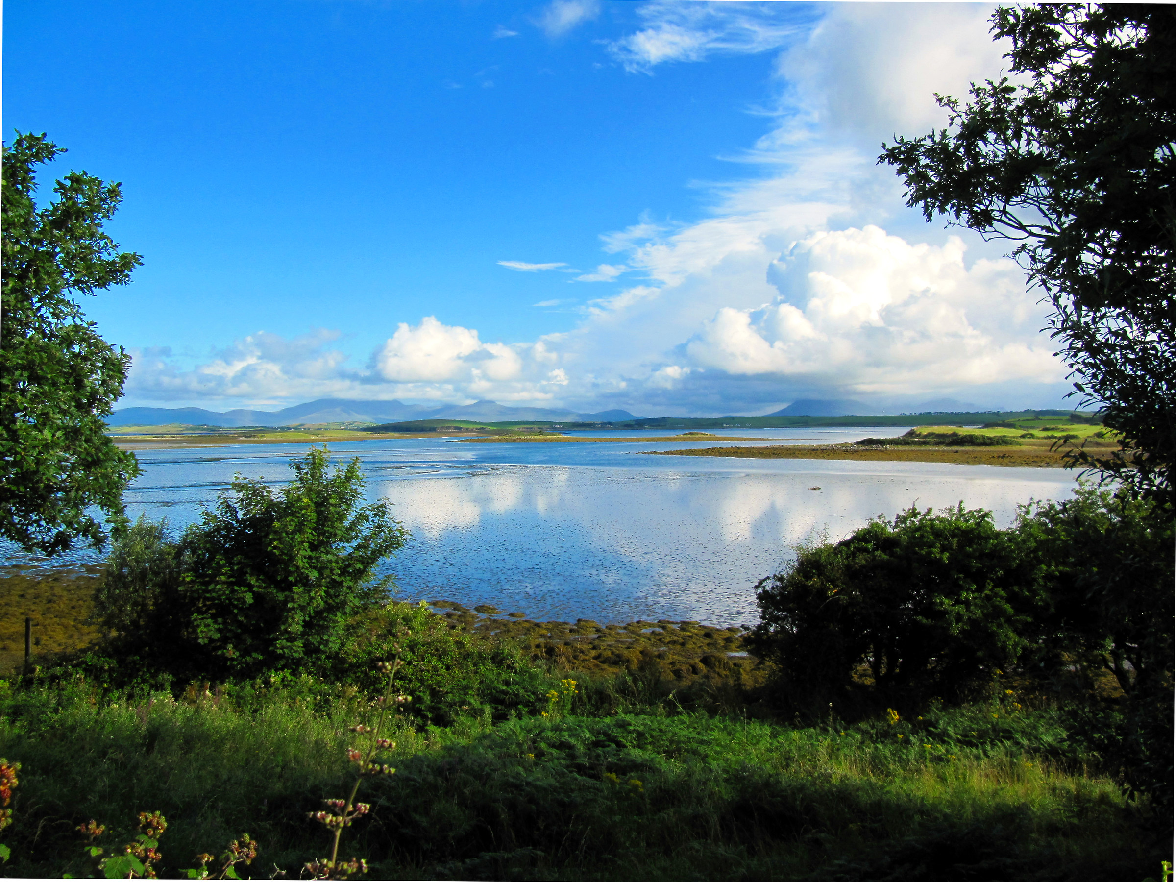 Mi ritrovai davanti a un quadro