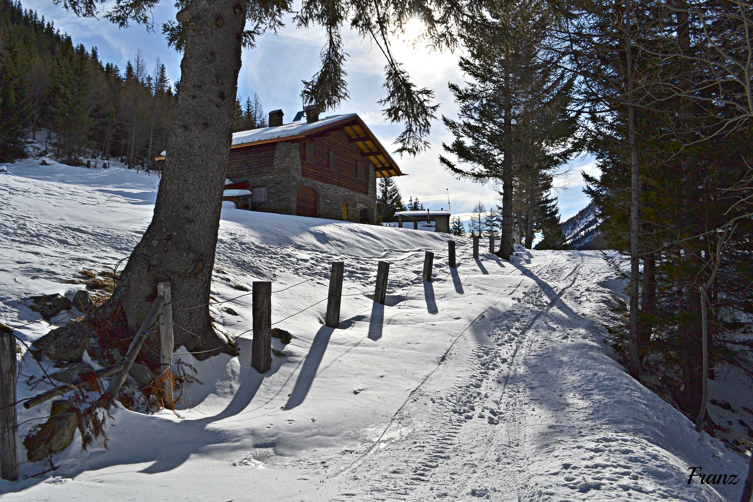 The log cabin in the woods