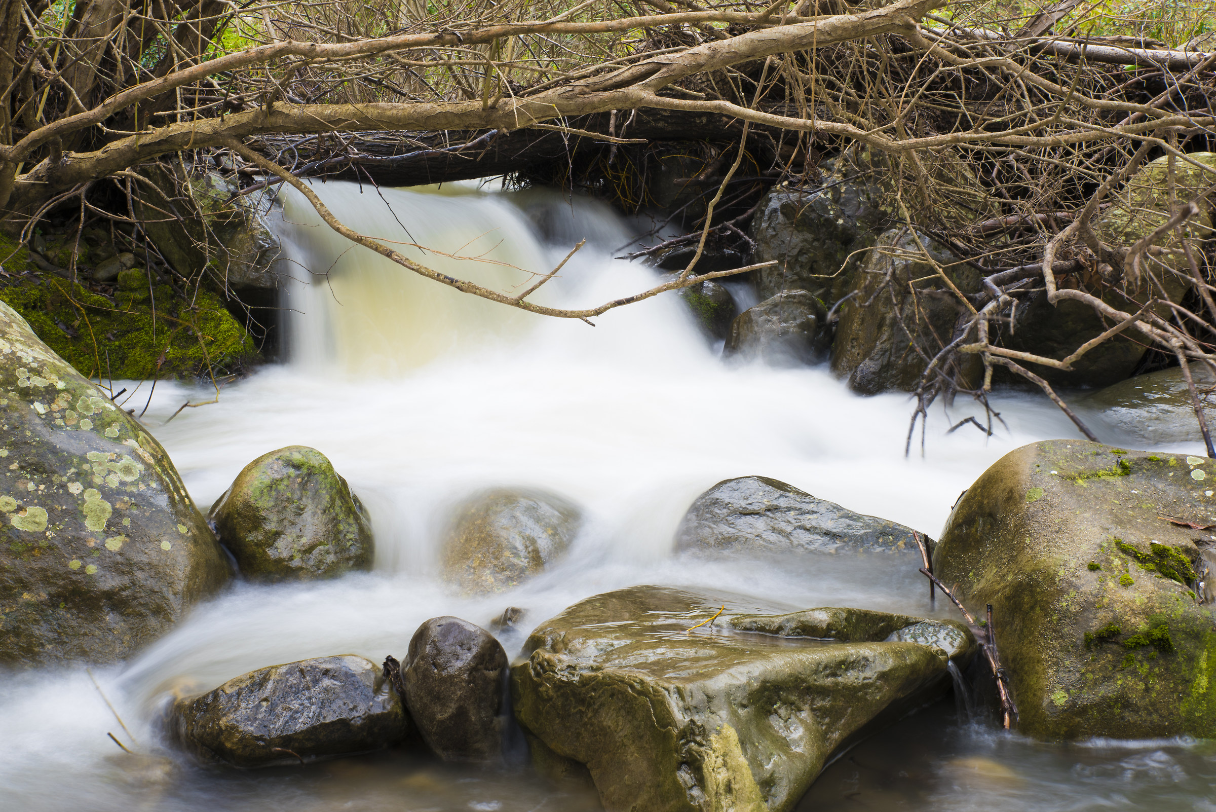 Il fruscio del Ruscello..