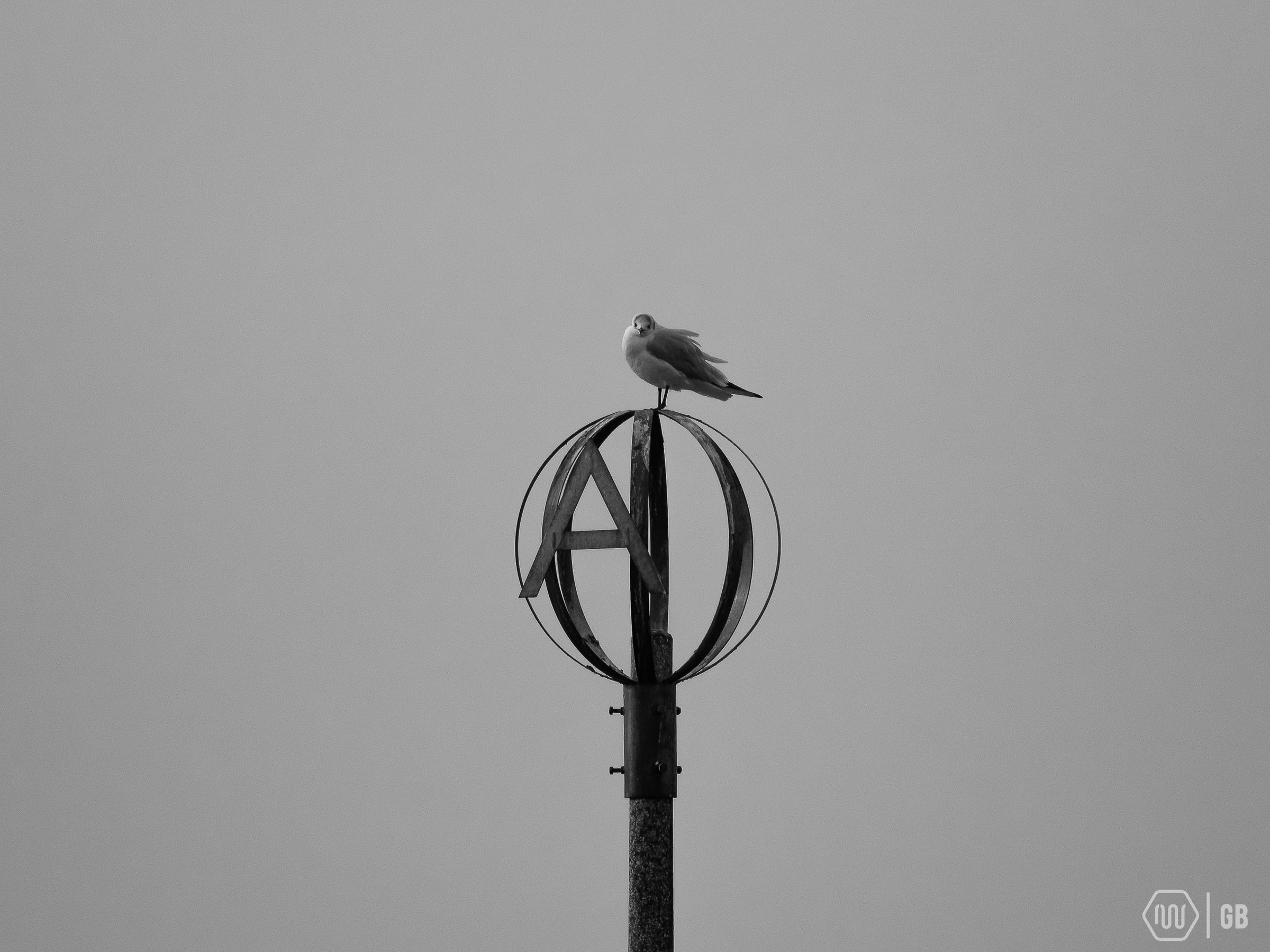 Are you looking at me?