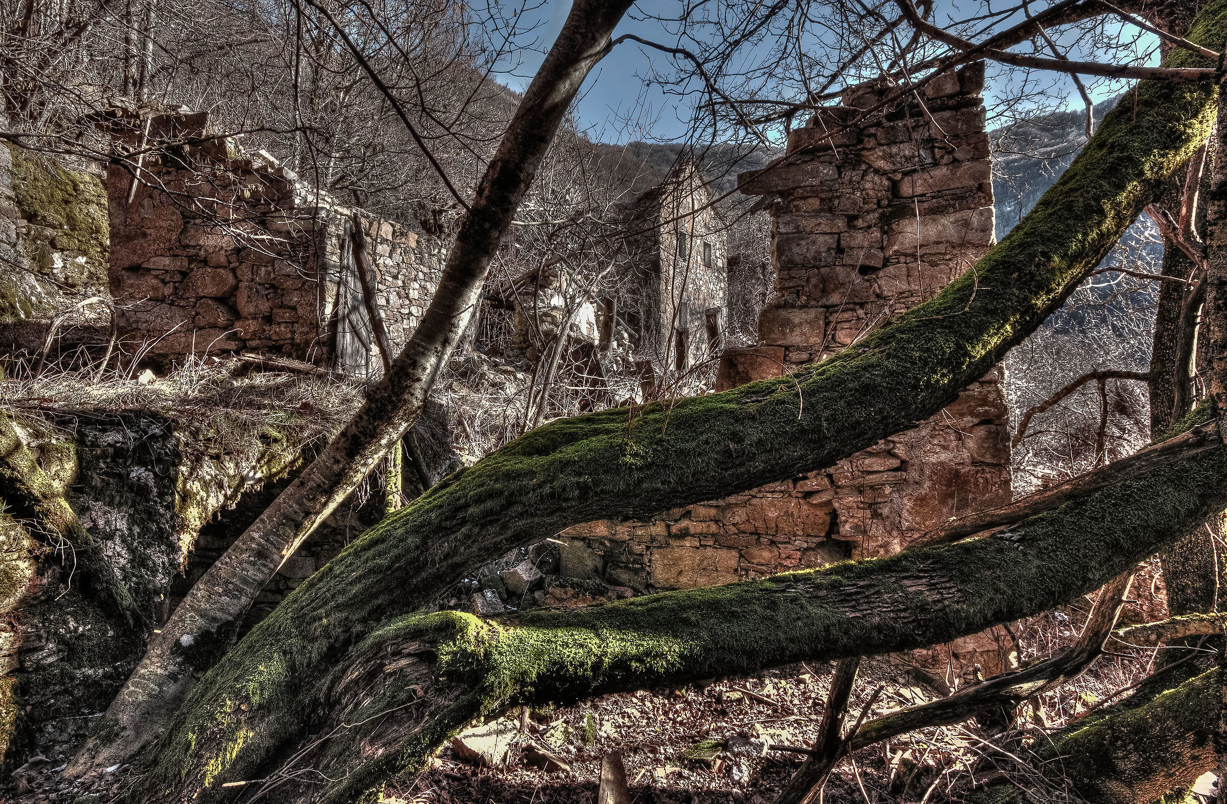 Reneuzzi (Al) The vegetation triumphs and destruction ...