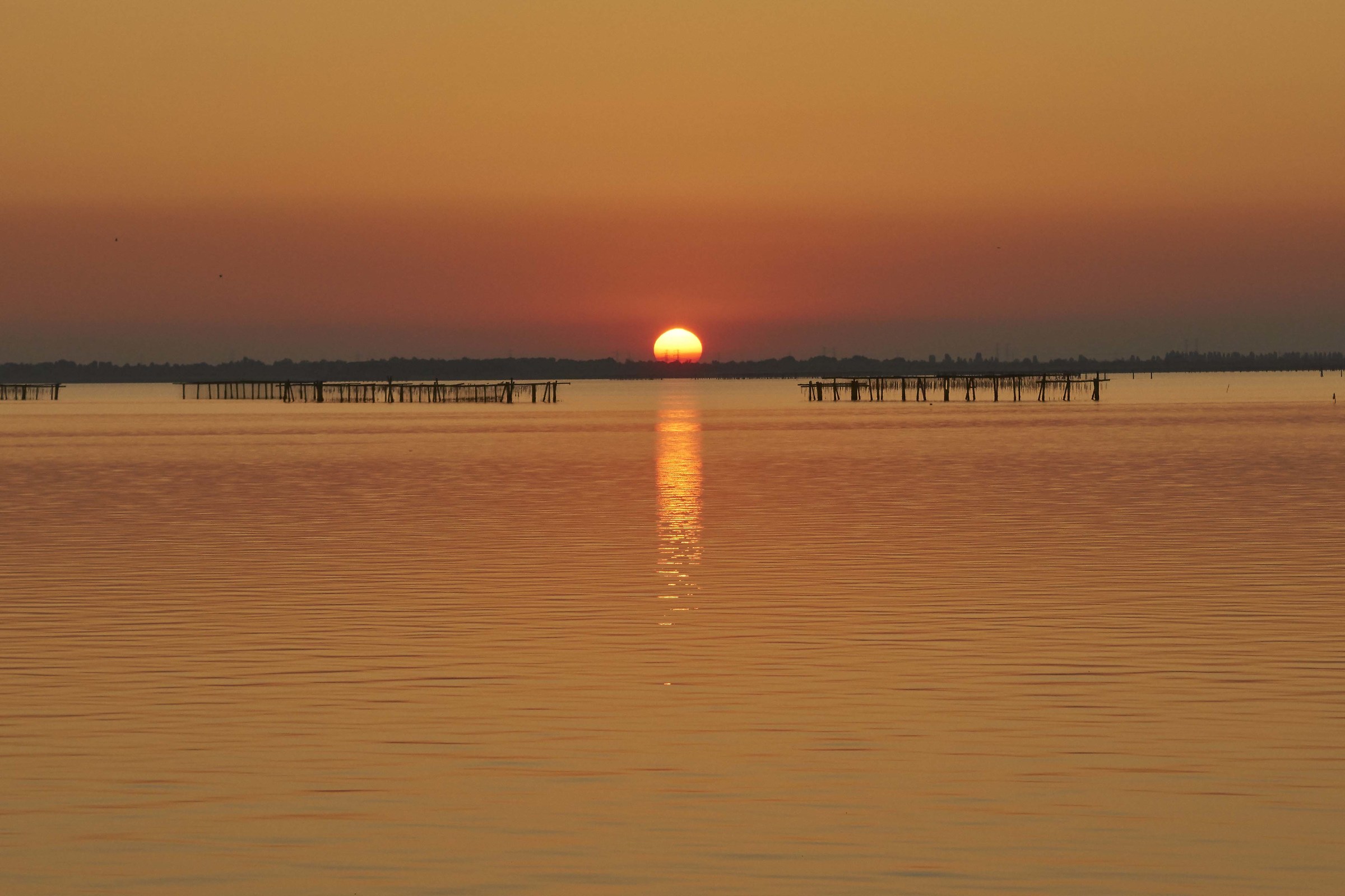 Sacca Scardovari / 2