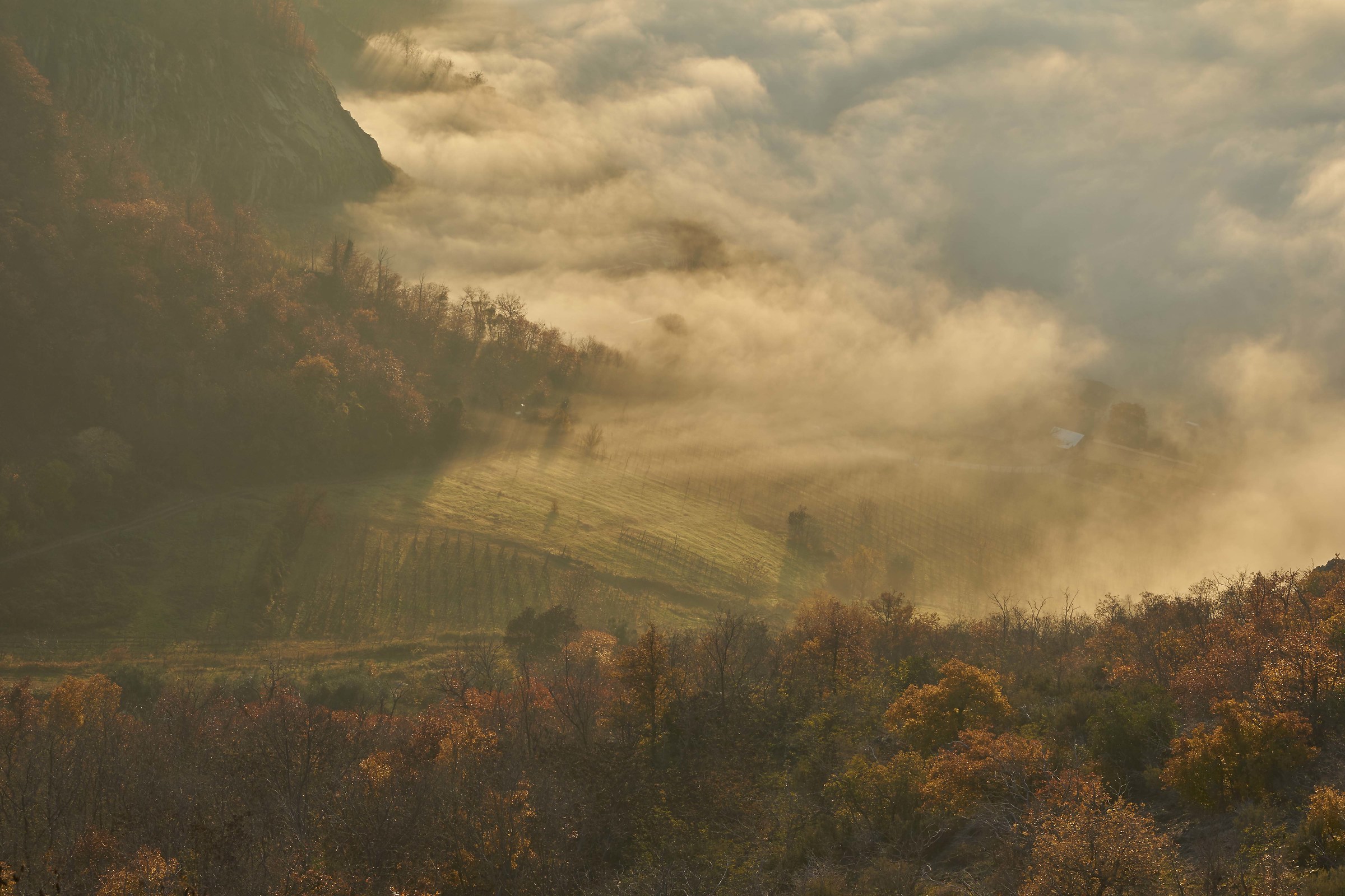 Nebbia da Sant'Antonio Abate