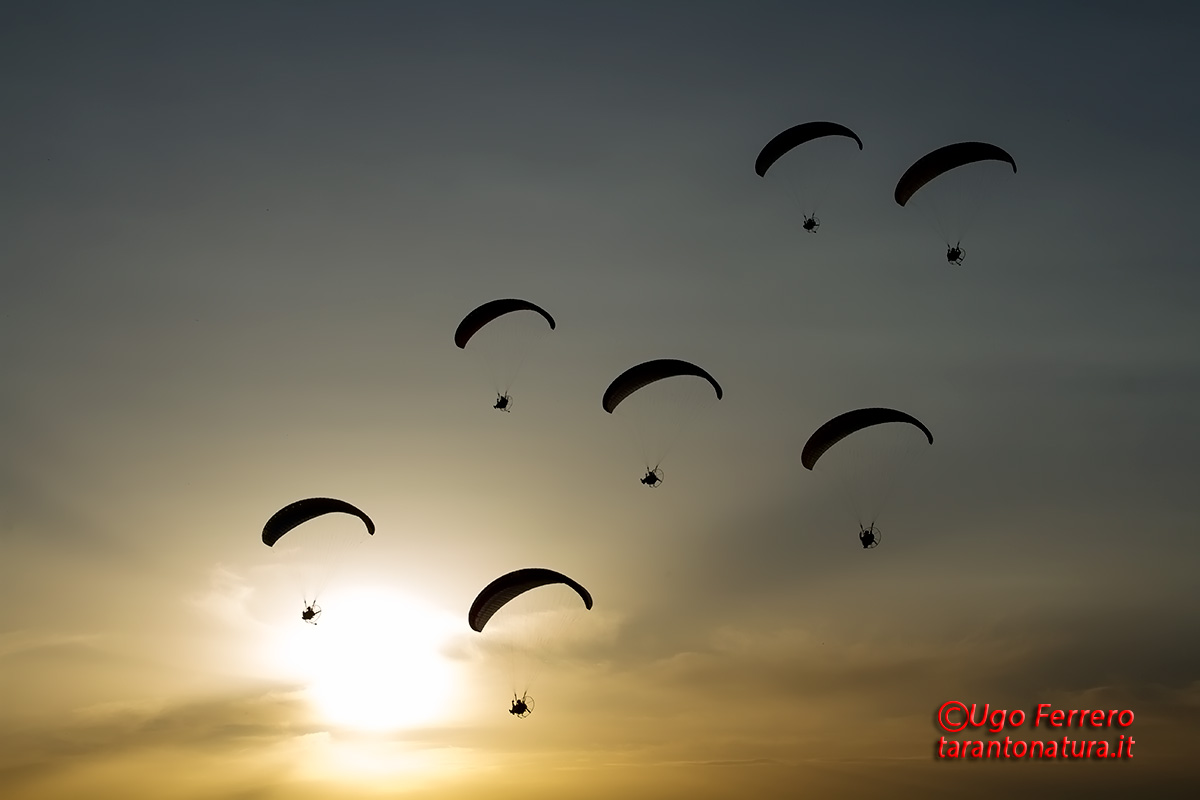 Team paramotoristi Audaci