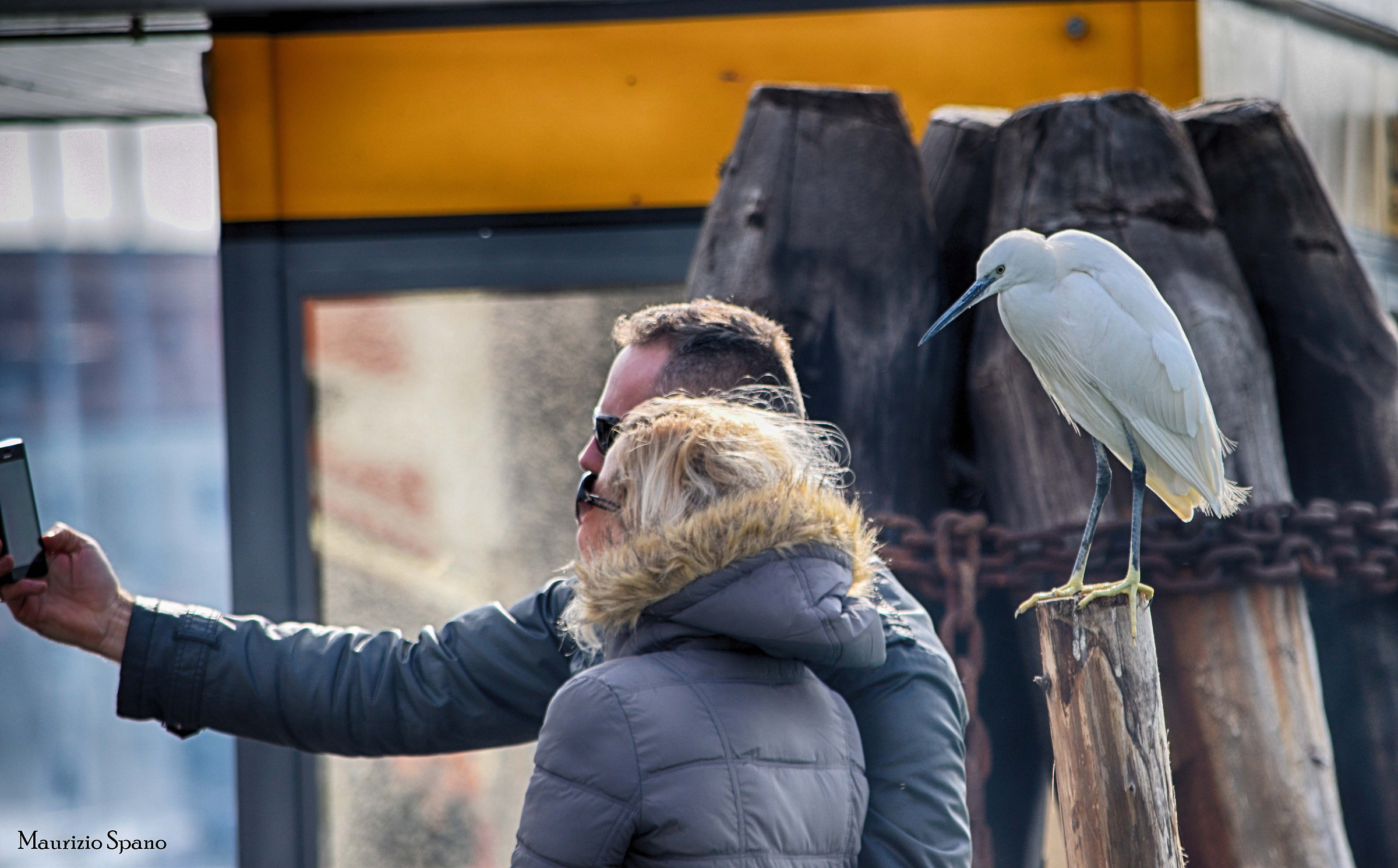 A spectator unexpected