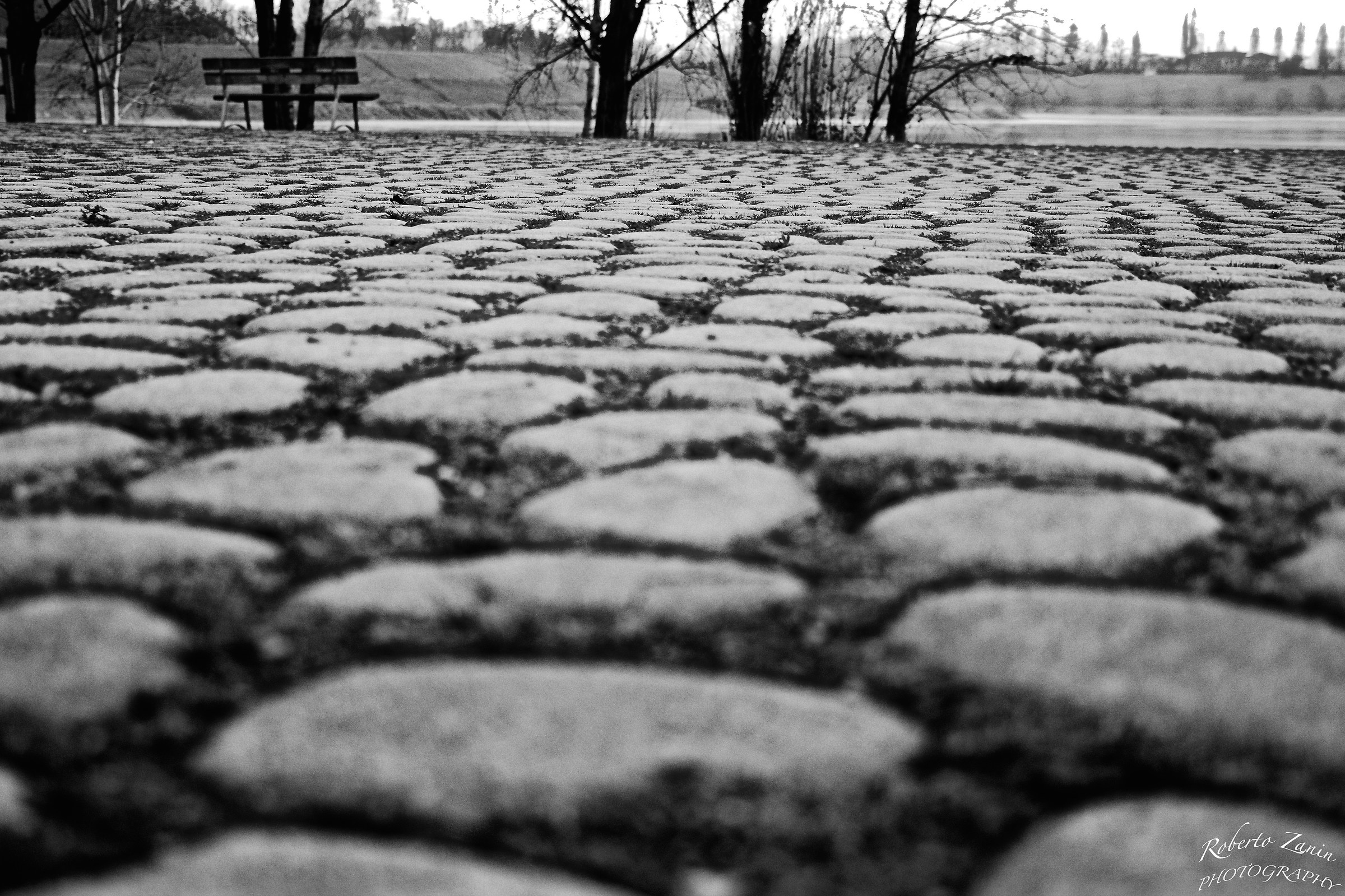 Vista lago.......terra-terra!!!