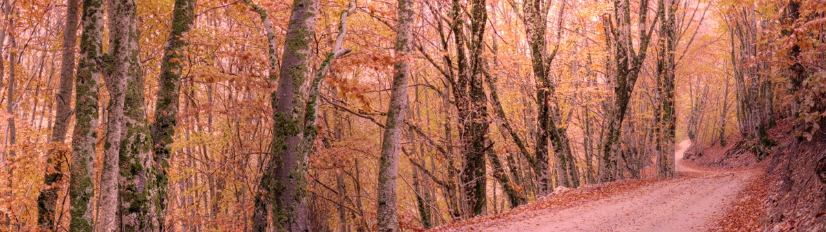 There is a place in Abruzzo