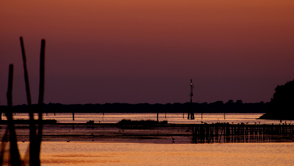 Tramonto di Primavera(Sacca di Goro - Fe -)