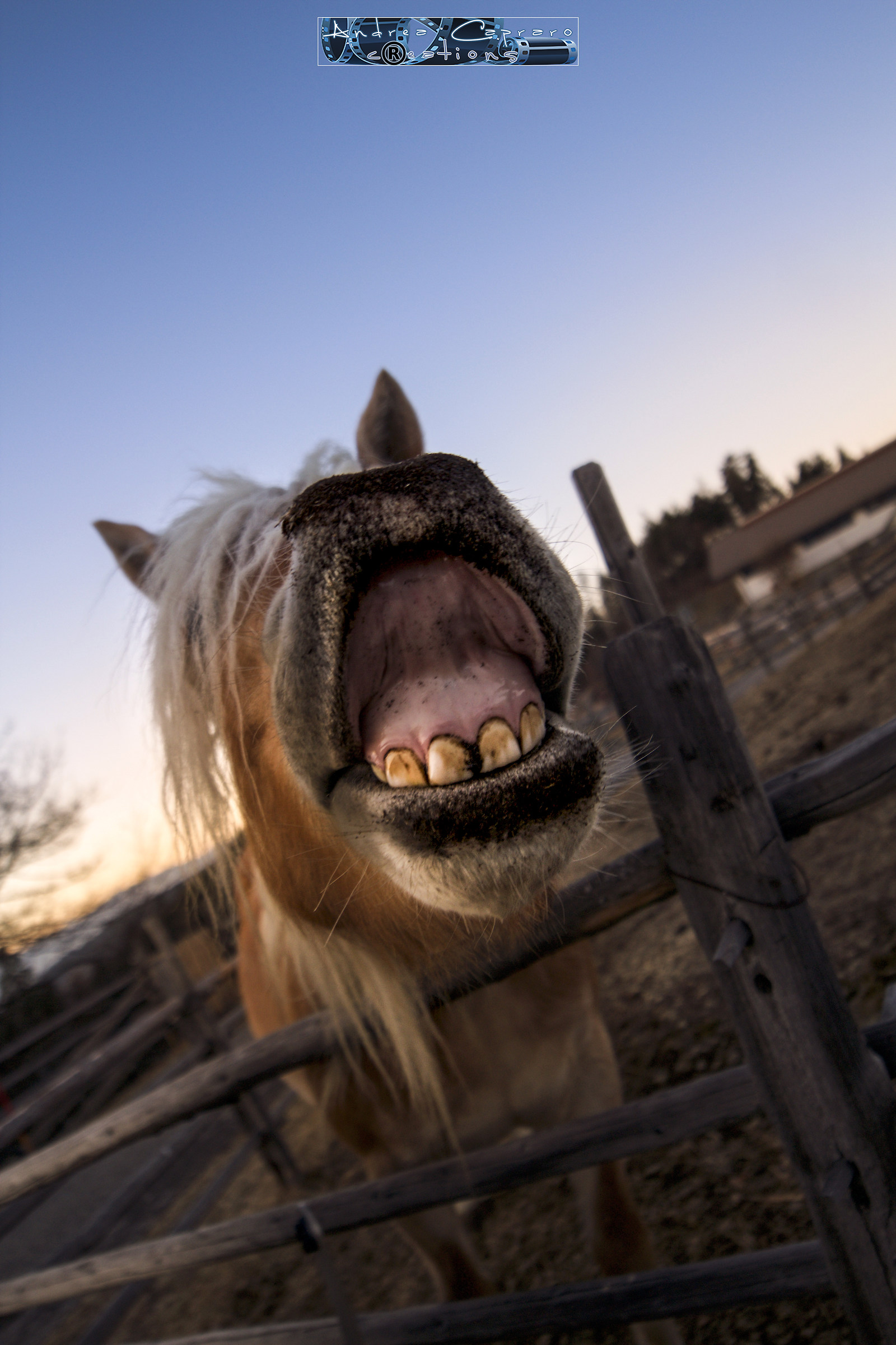 A smile for the press :)))