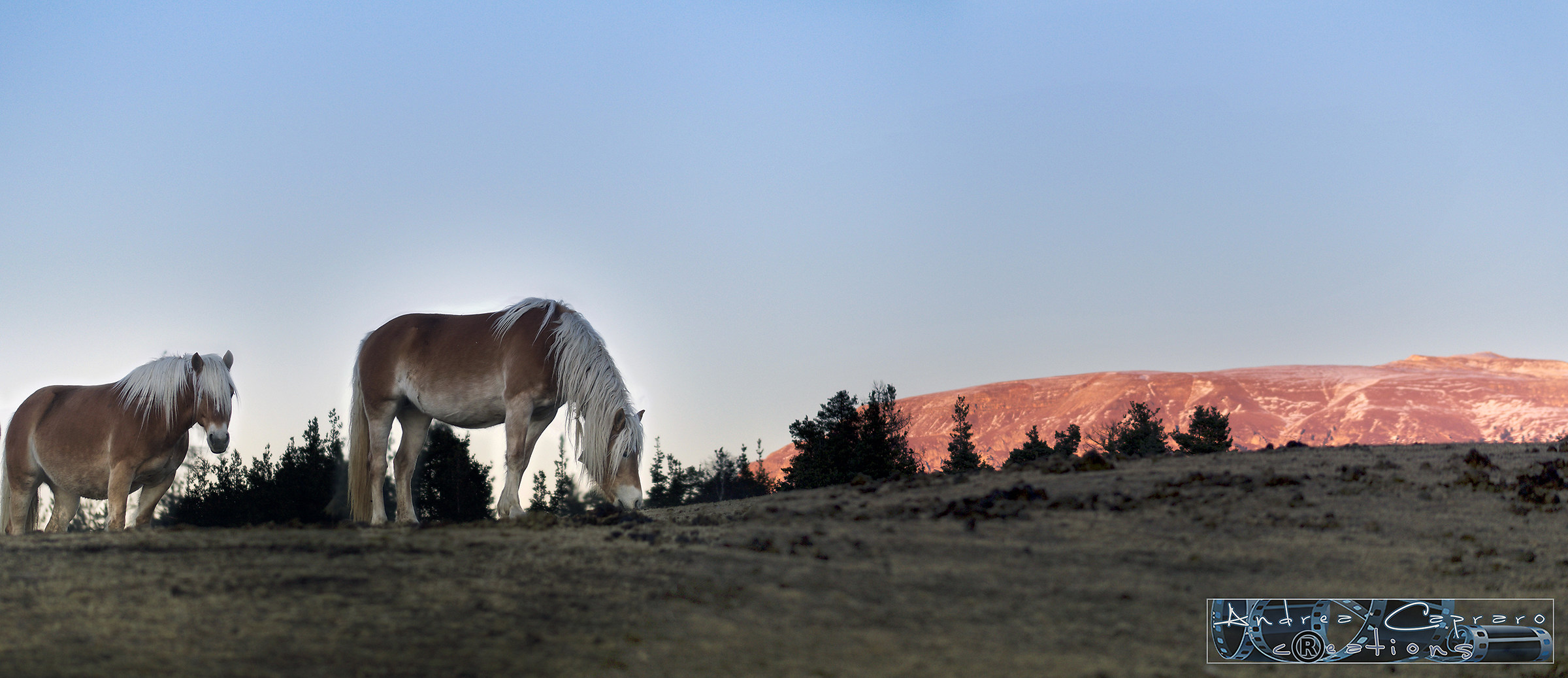 Last bites before sunset.