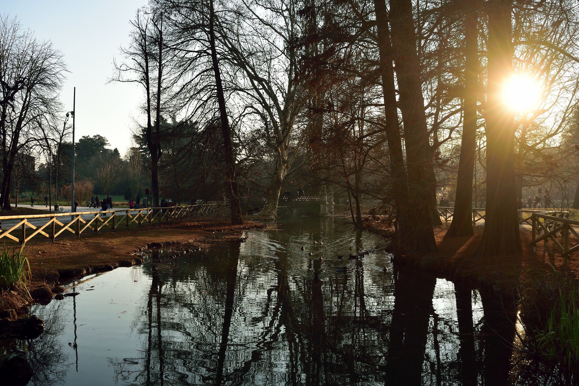 Laghetto Parco Sempione