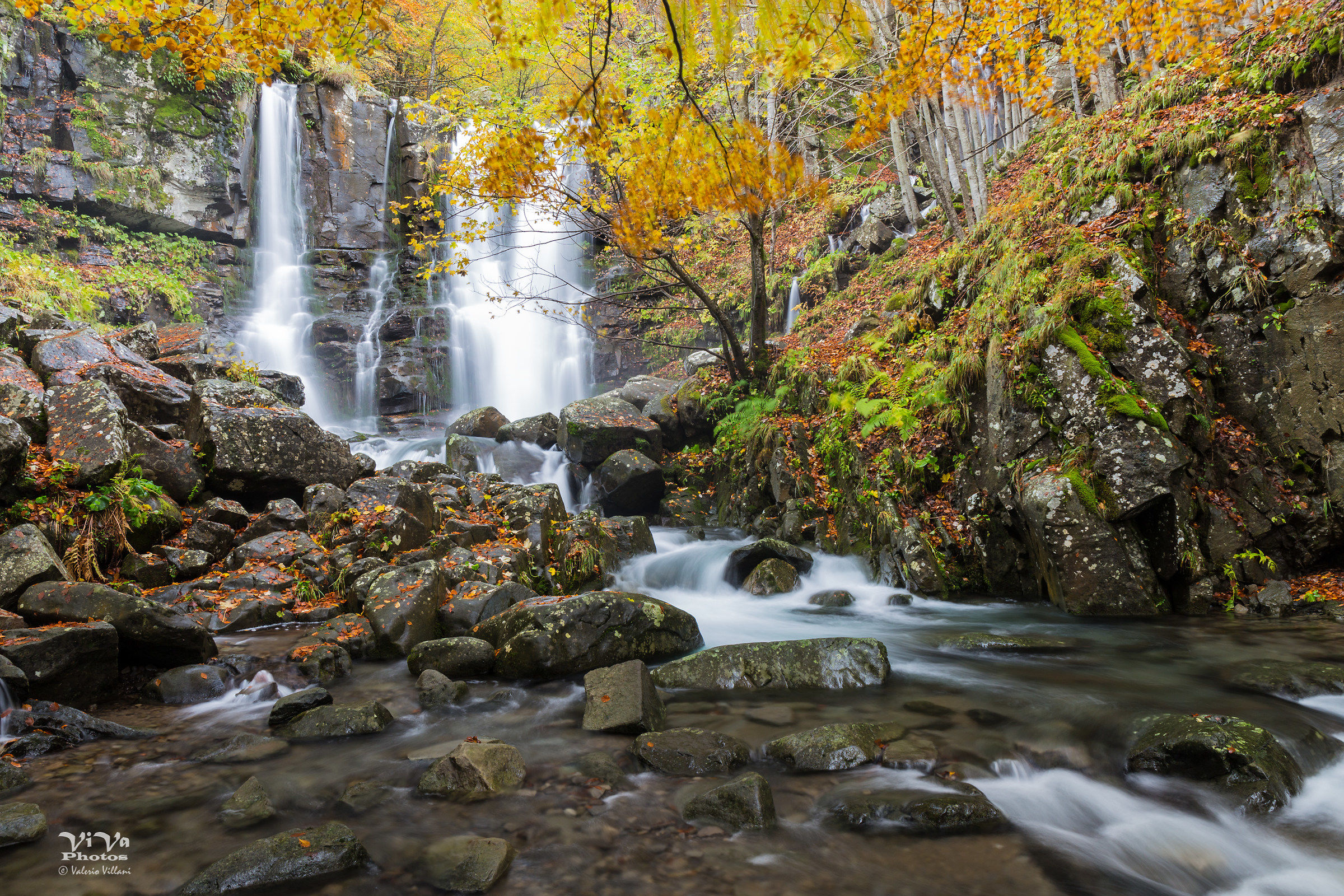 Foliage alle Cascate del Dardagna