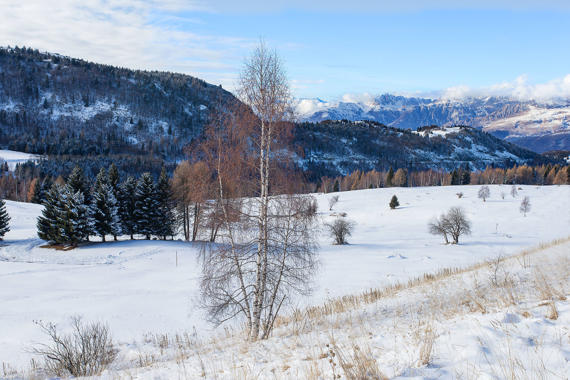 Location The Viote (Monte Bondone)