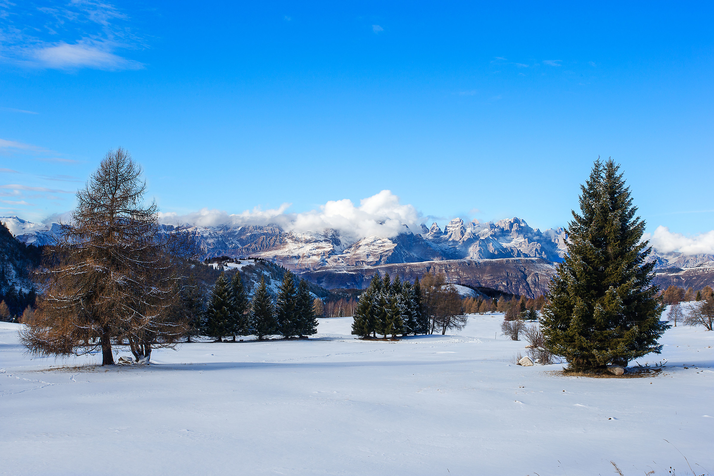 The Viote and in the background the Brenta
