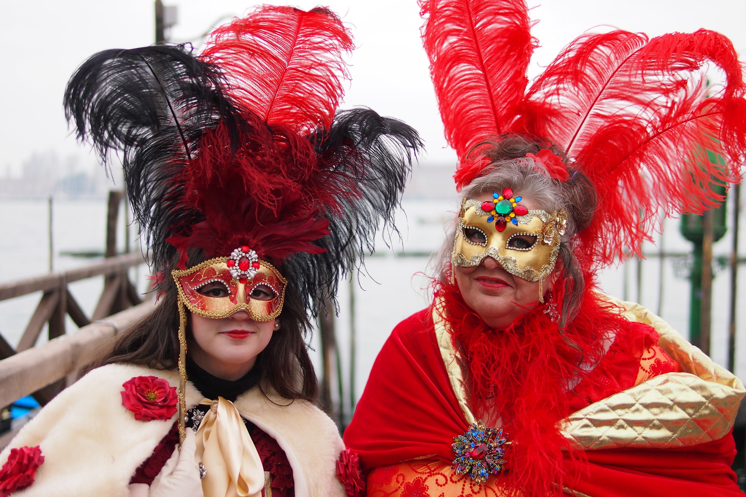 la bella e la damigella