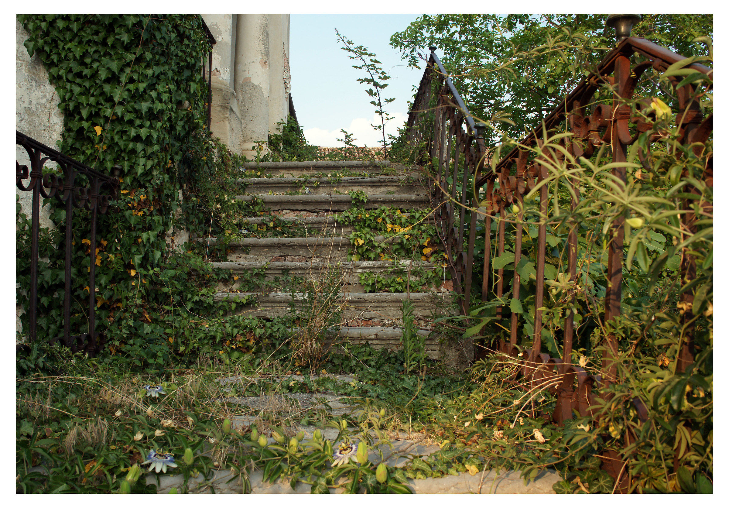 Monfumo, strada dell'architettura