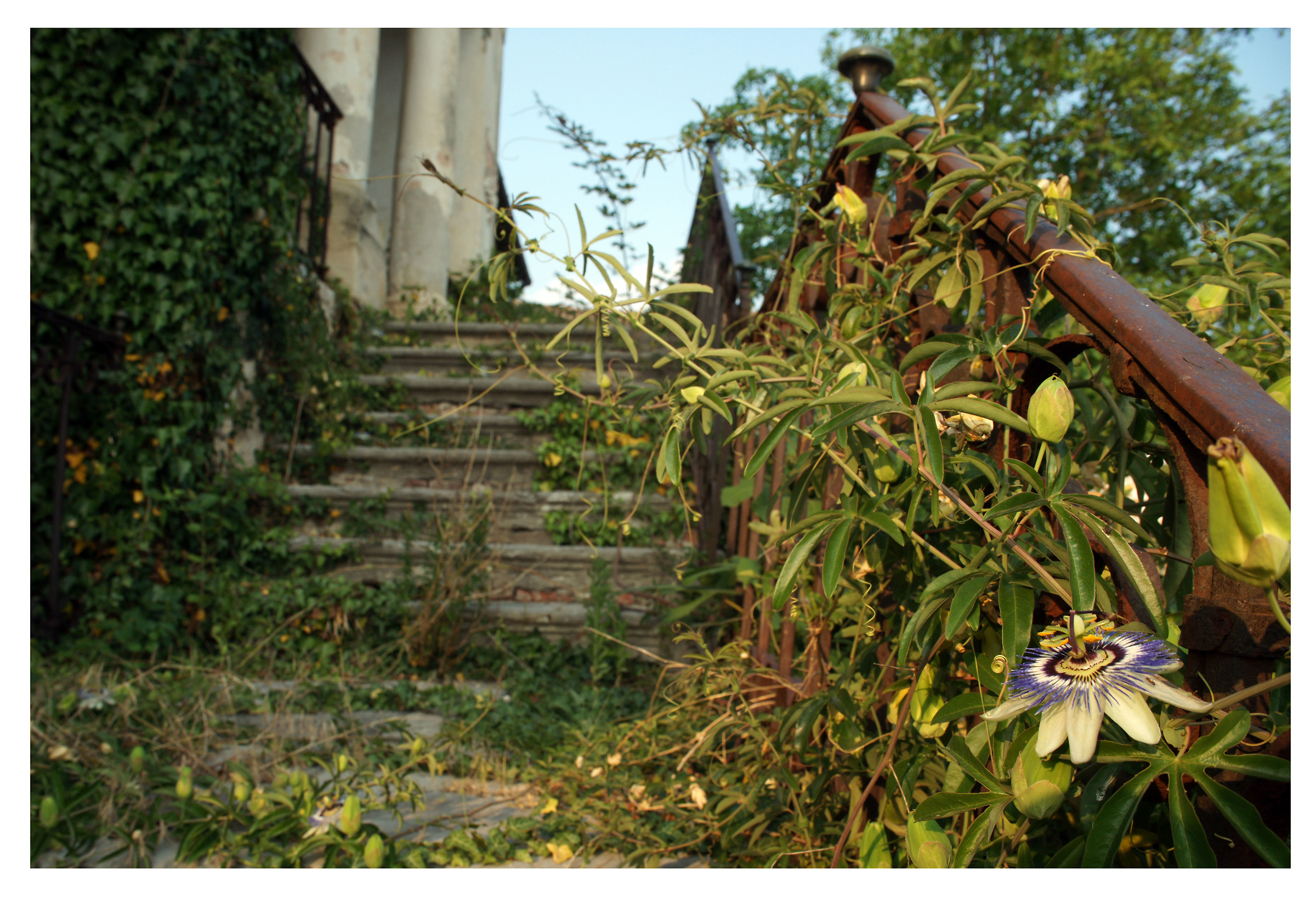 Monfumo, strada dell'architettura