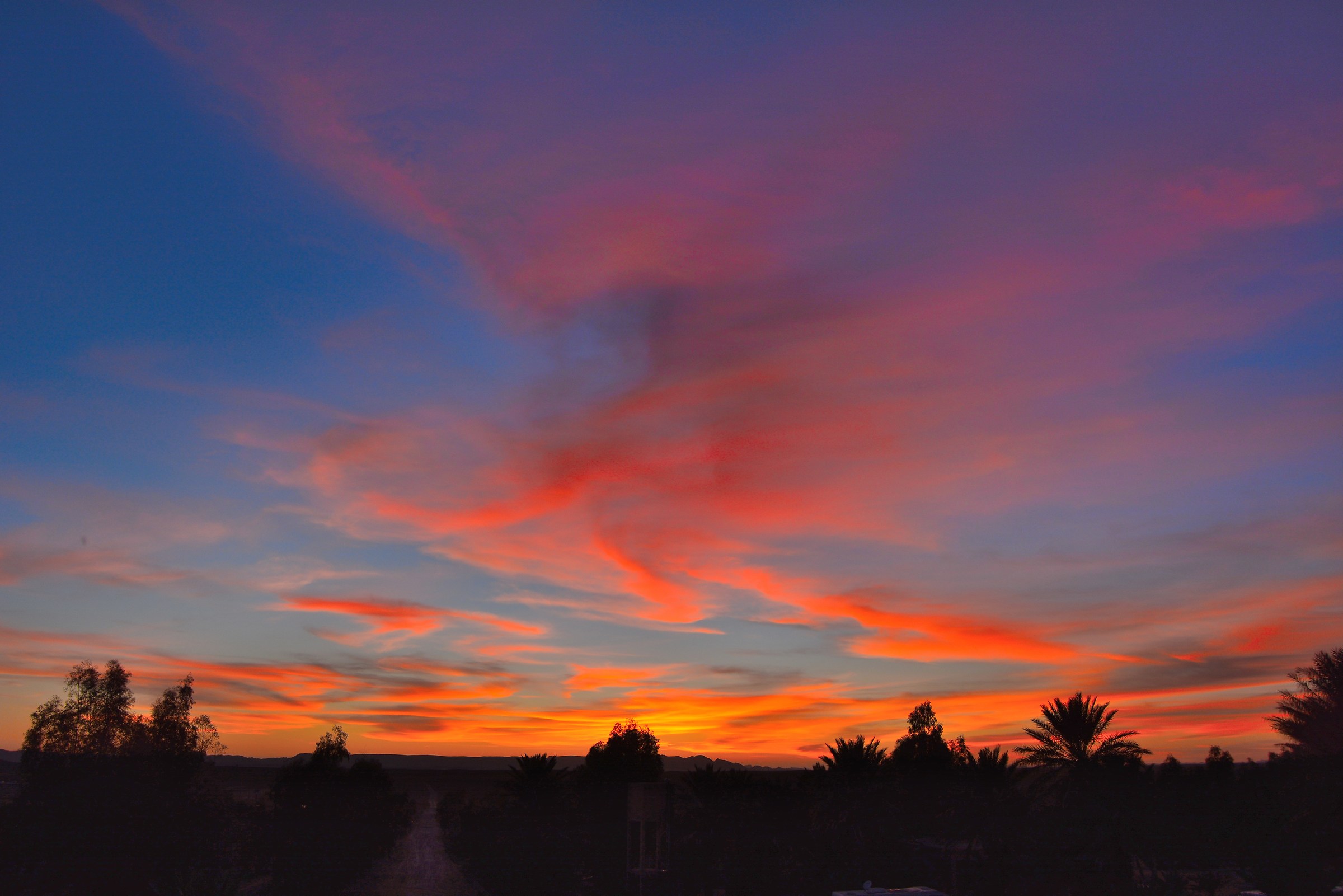 Sunset in the desert