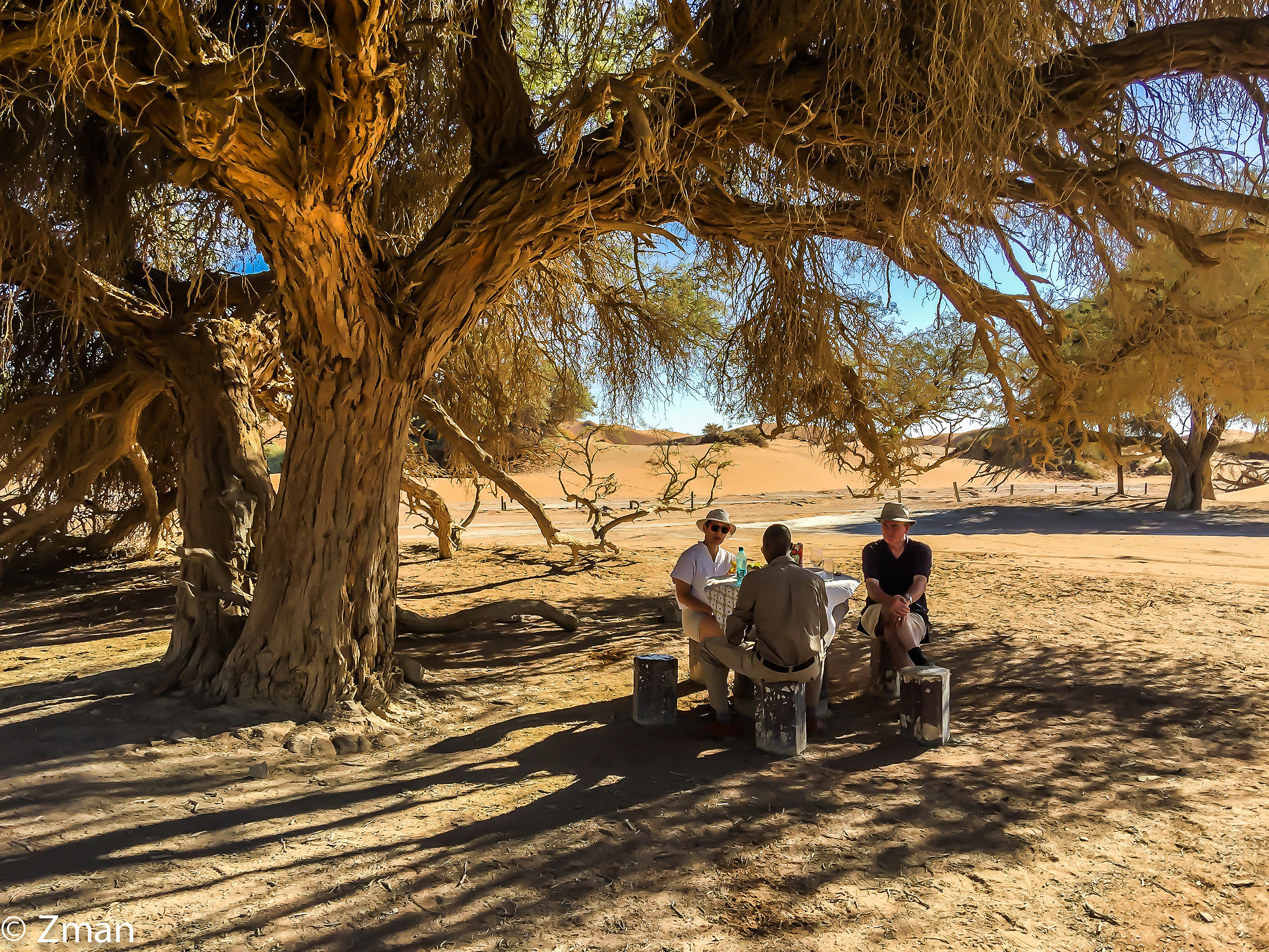 Avendo Caffè Sotto Acacia