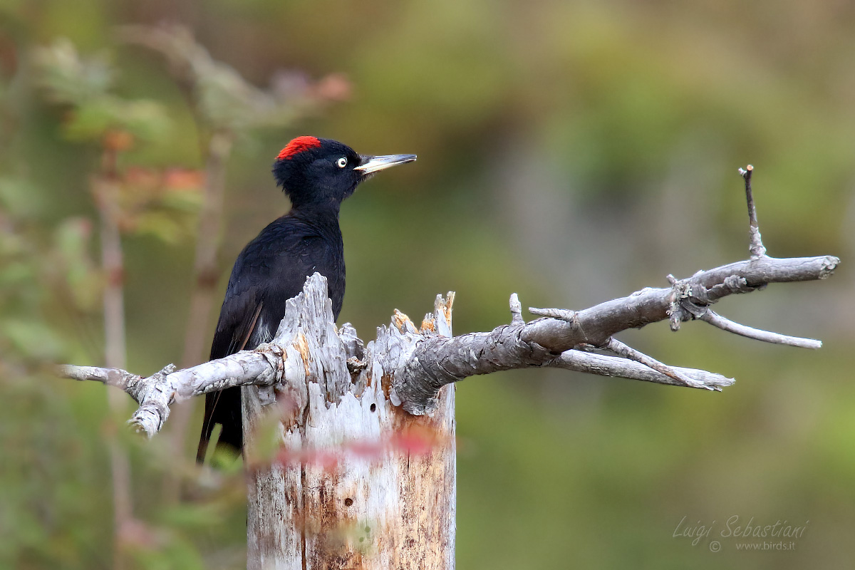 A peek in the neighborhoods