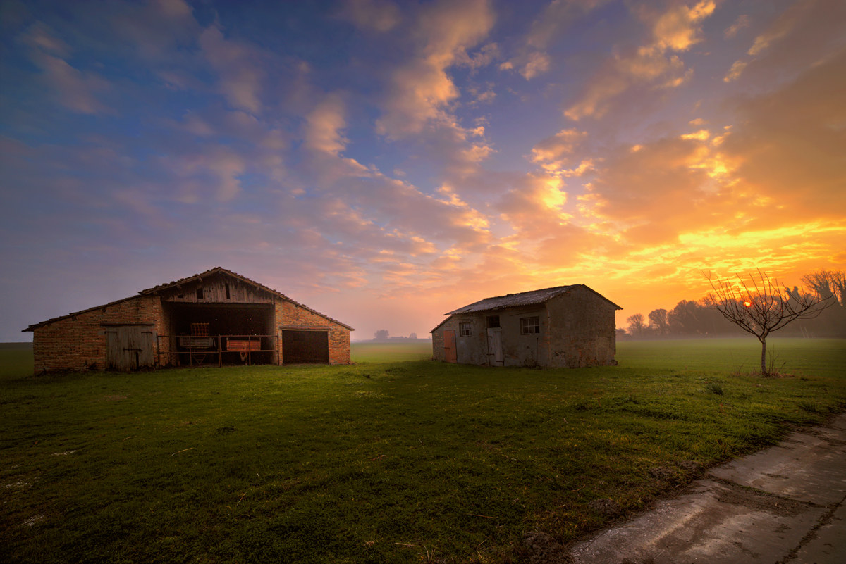 Tramontino Ravenna. January 2016