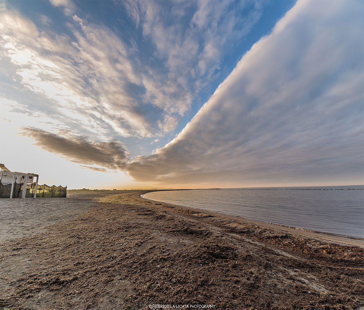 porpoises clouds posing