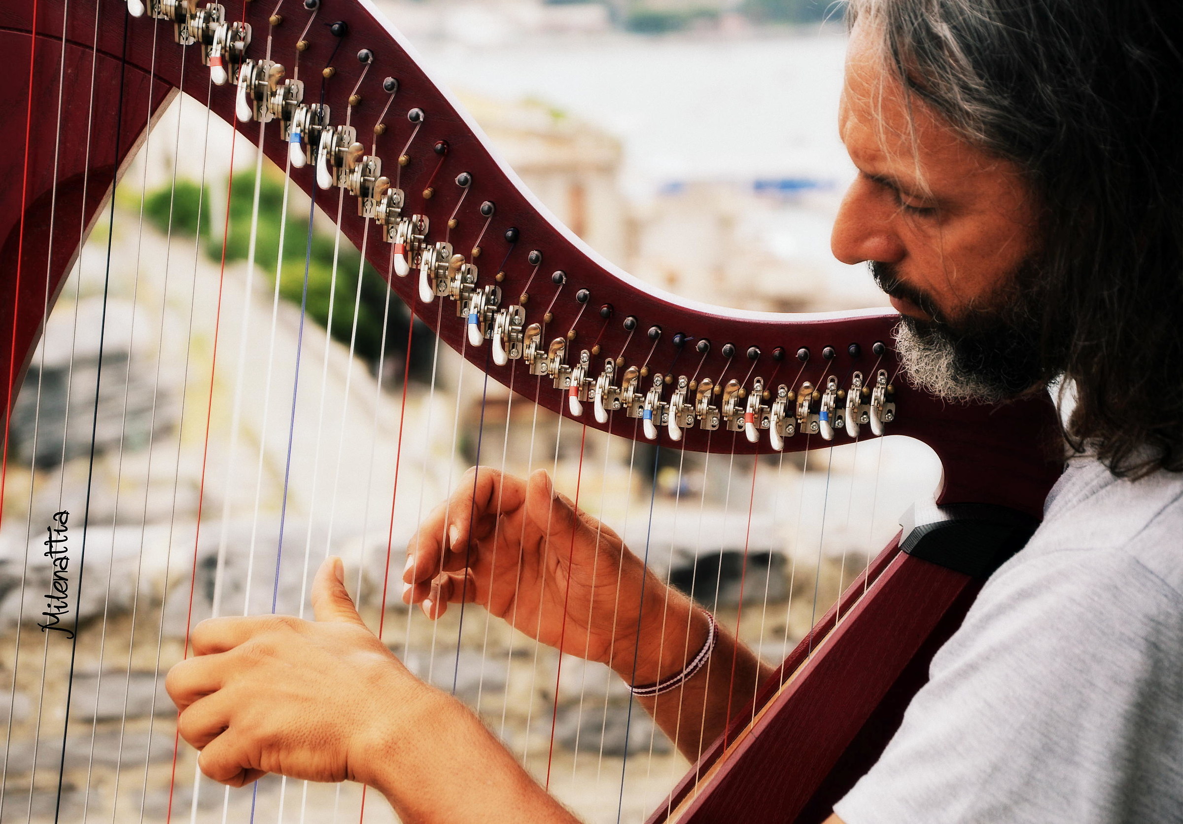 Arpista, artista di strada.