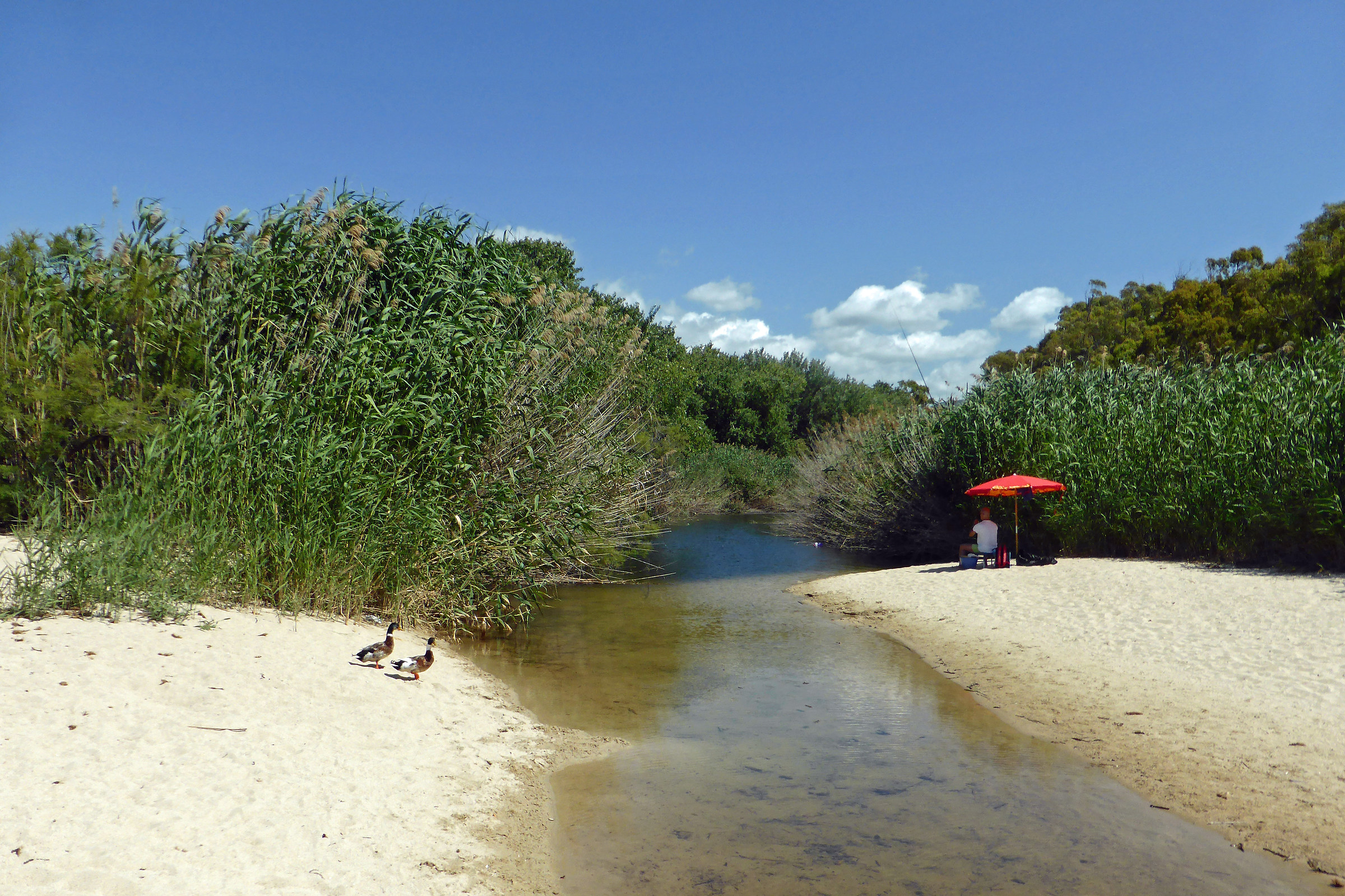 In bliss on the beach