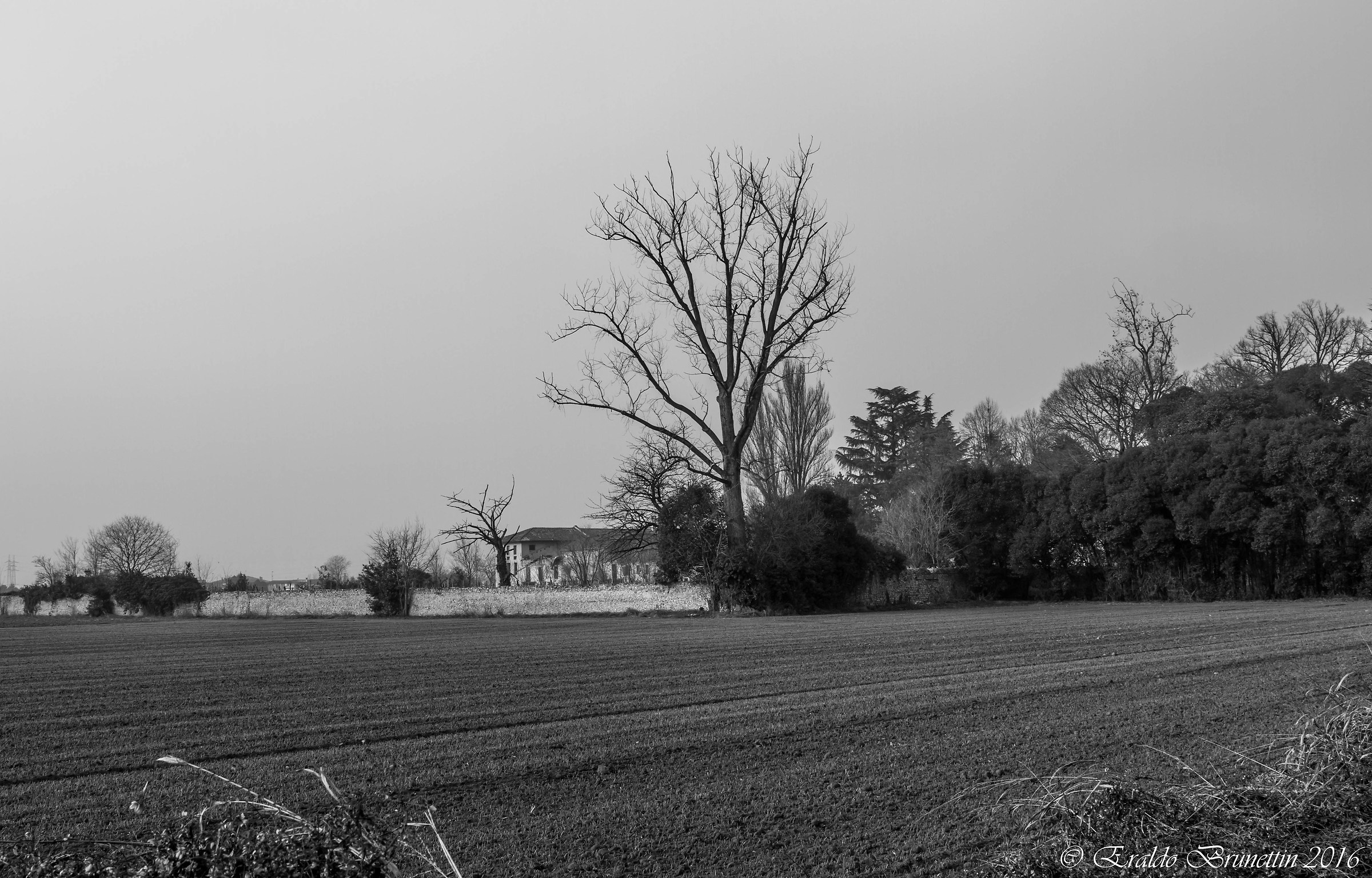 Campagna San Vito al Tagliamento (Pn)