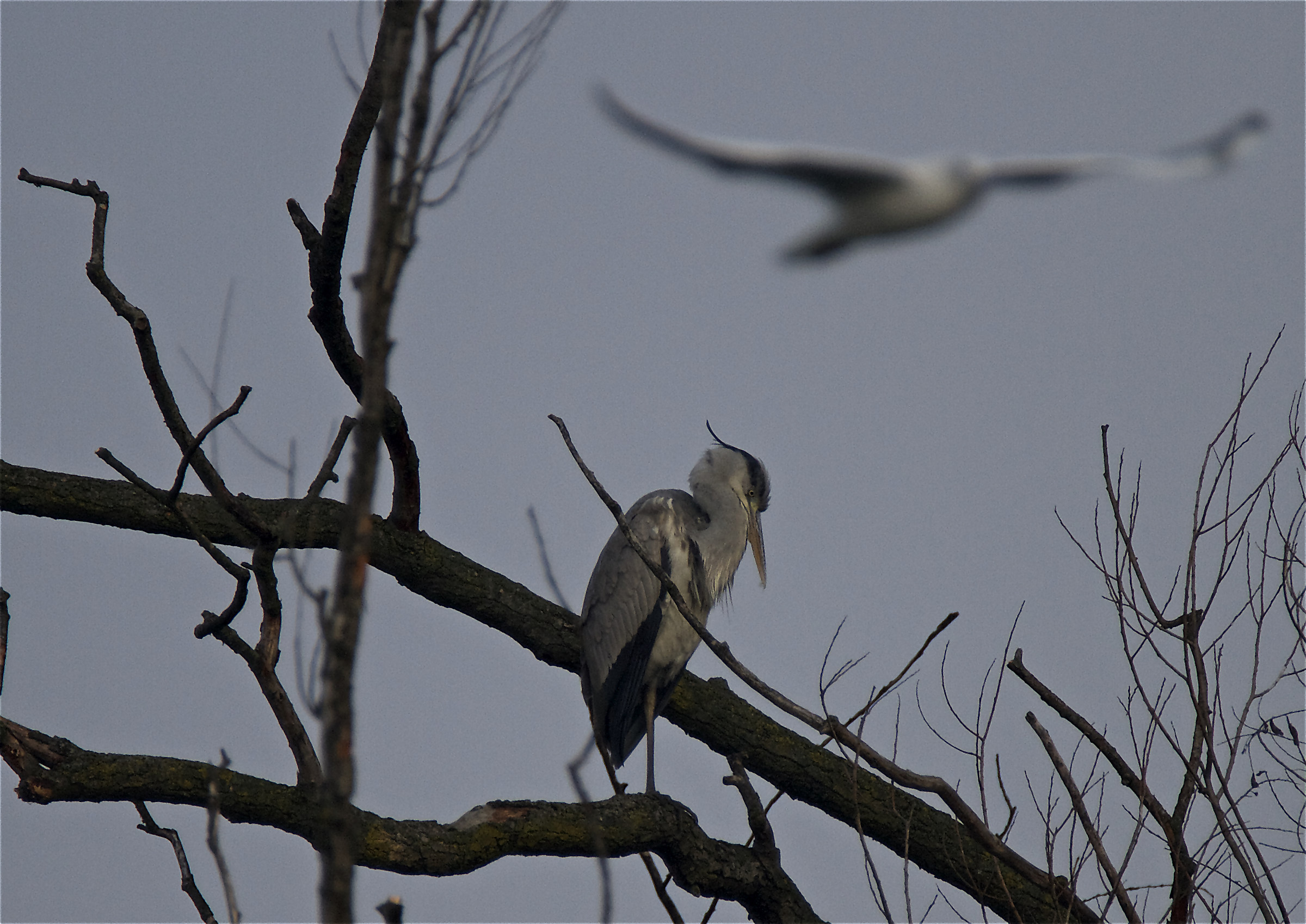 Passaggio imprevisto