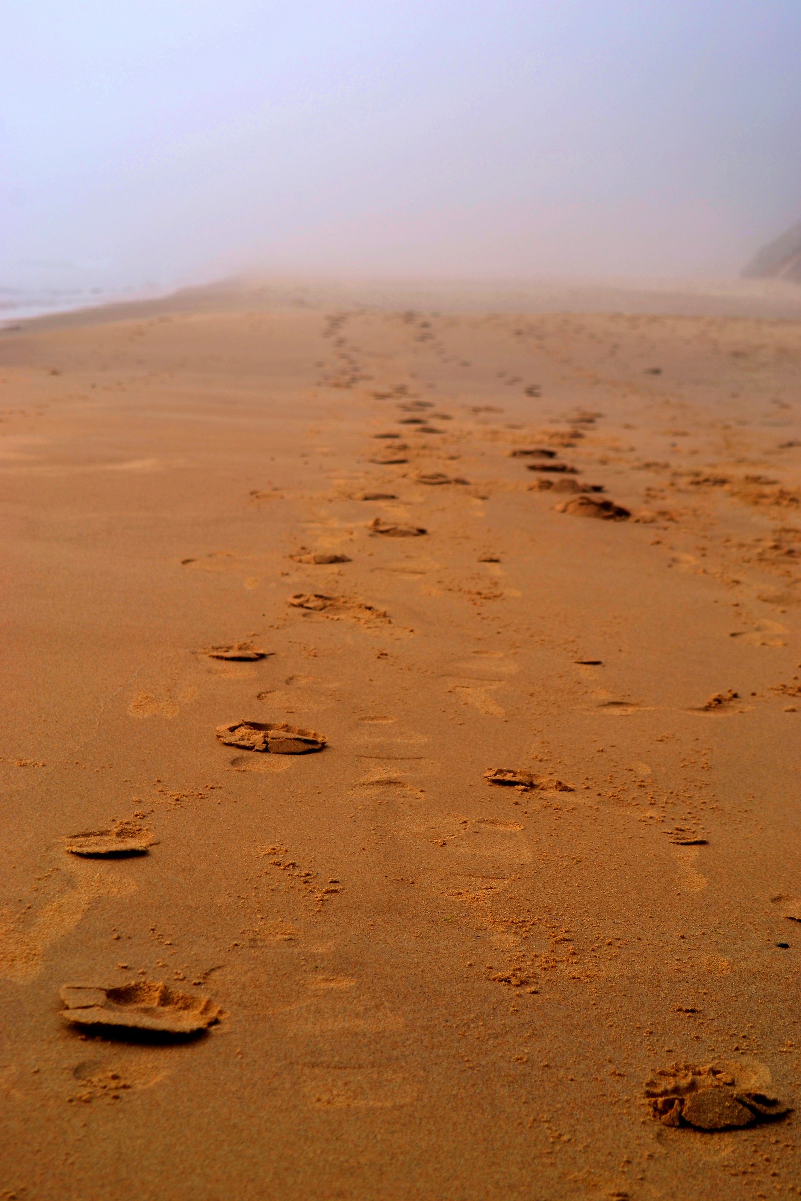 Brittas Beach Bray, Co. Wicklow