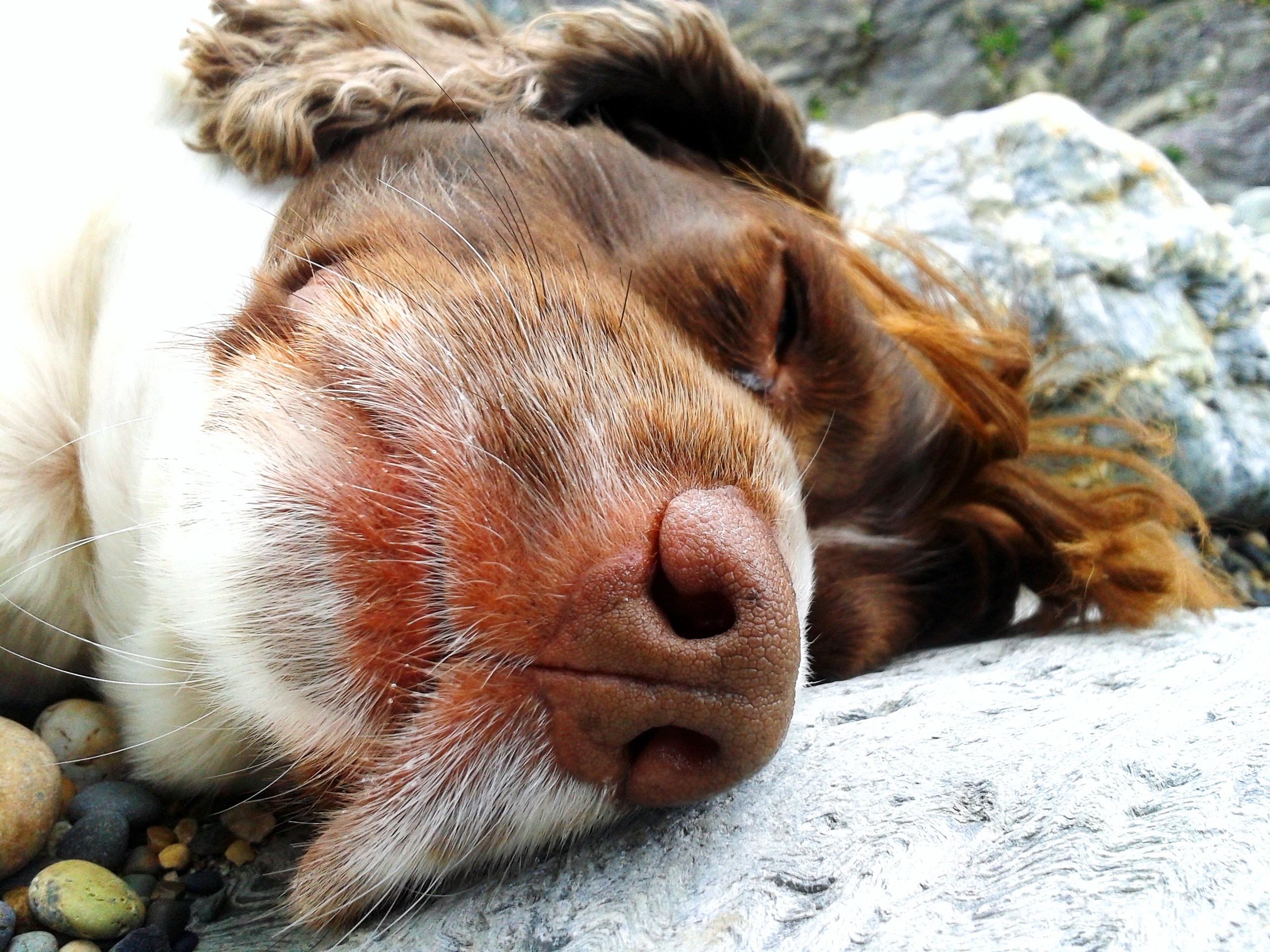 Nap on the Beach, Wicklow Town, Ireland
