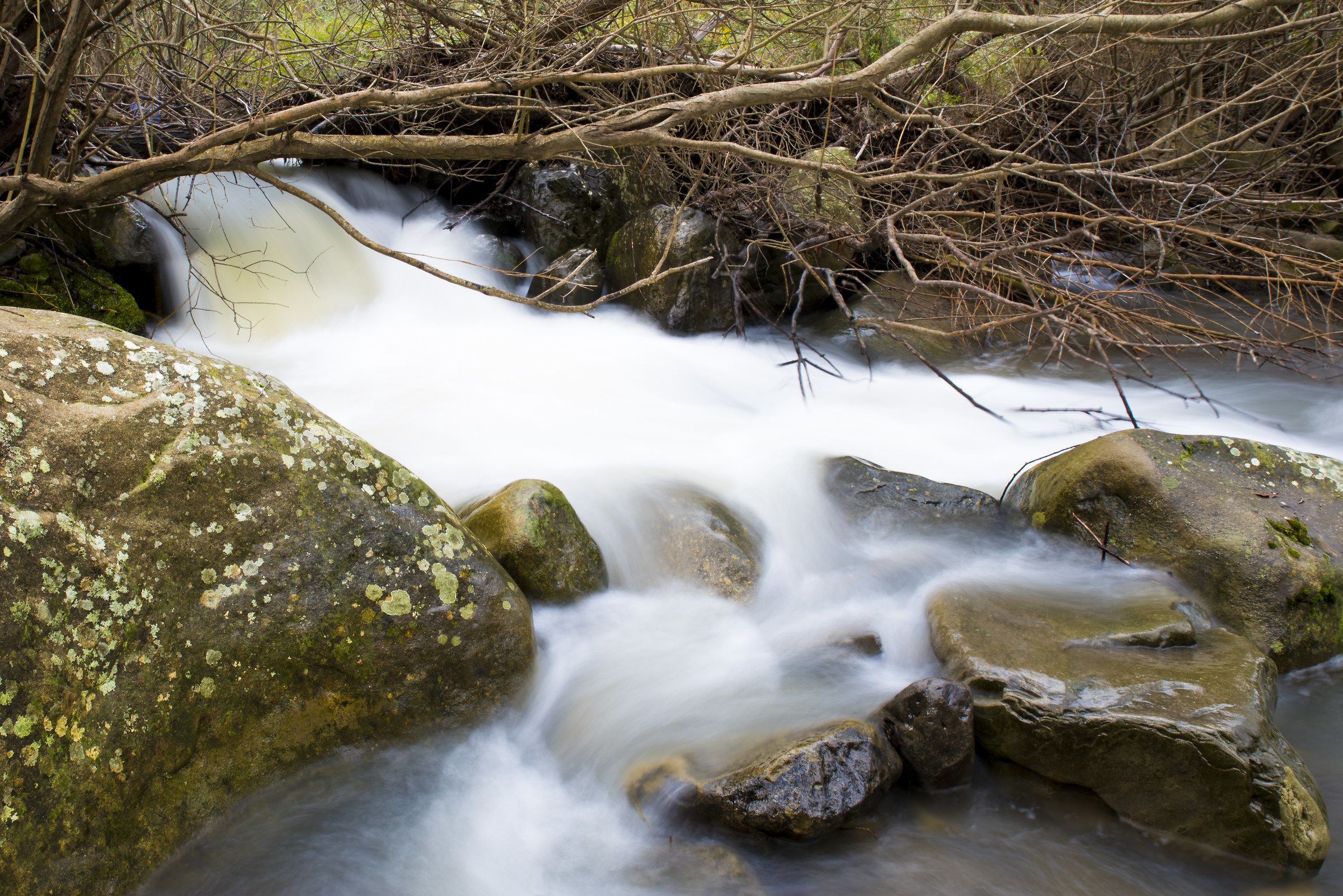 Squarcio di un ruscello..
