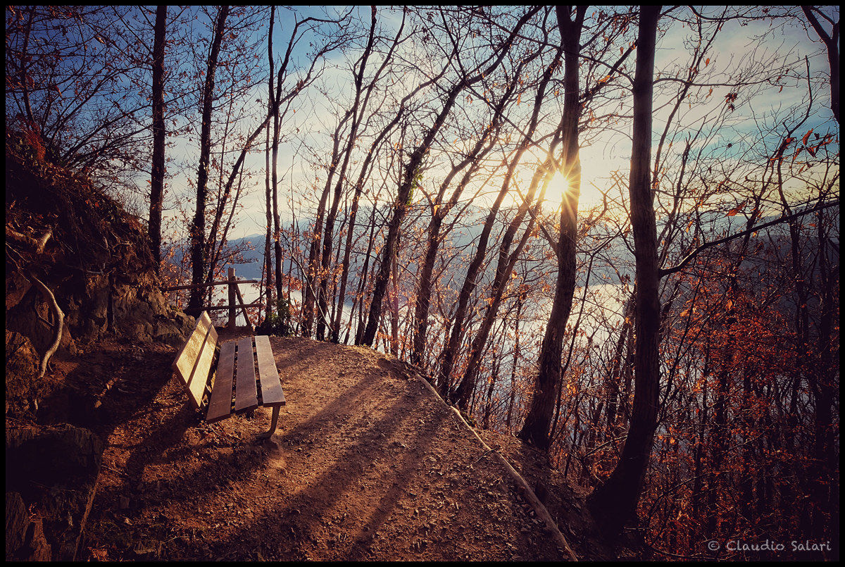 The warmth of winter (Agra CH)