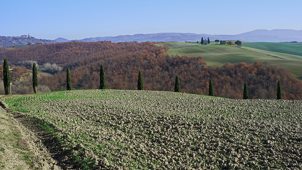 In quel della Val d'Orcia 3