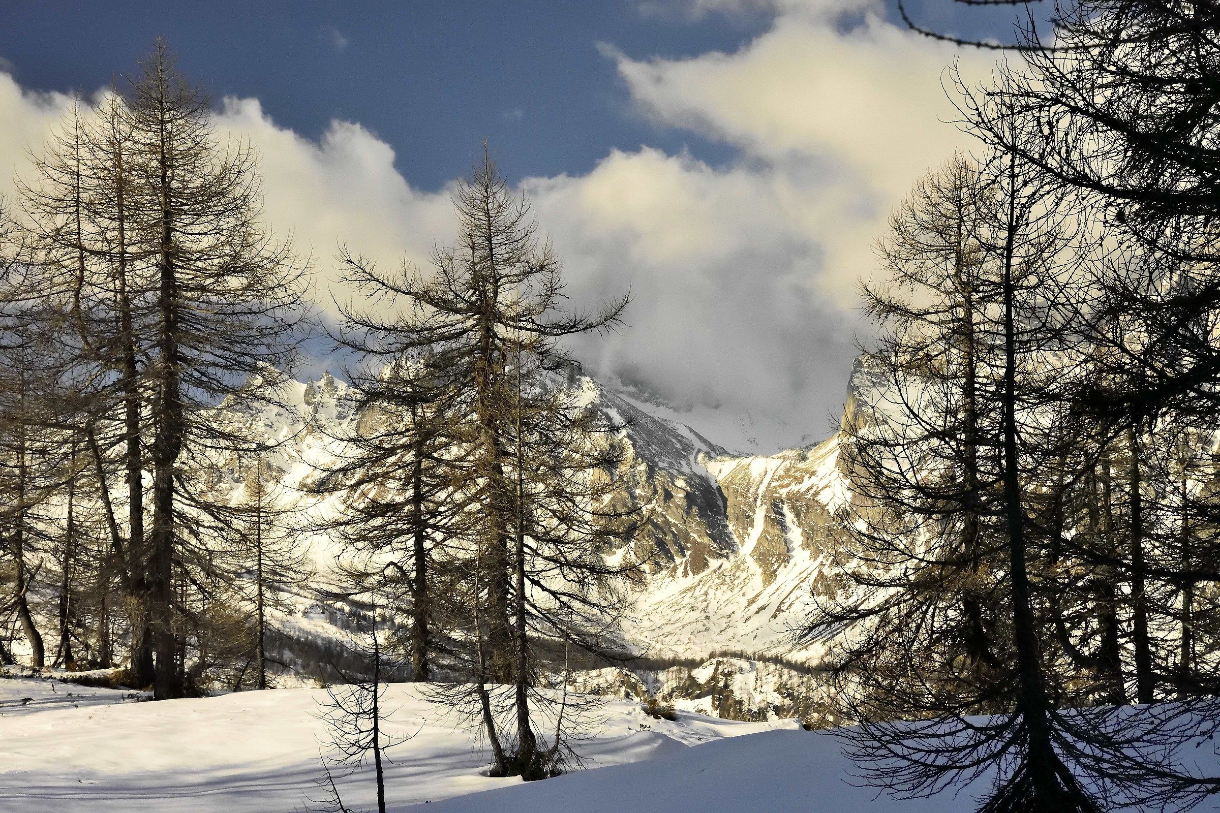 Val Buscagna background