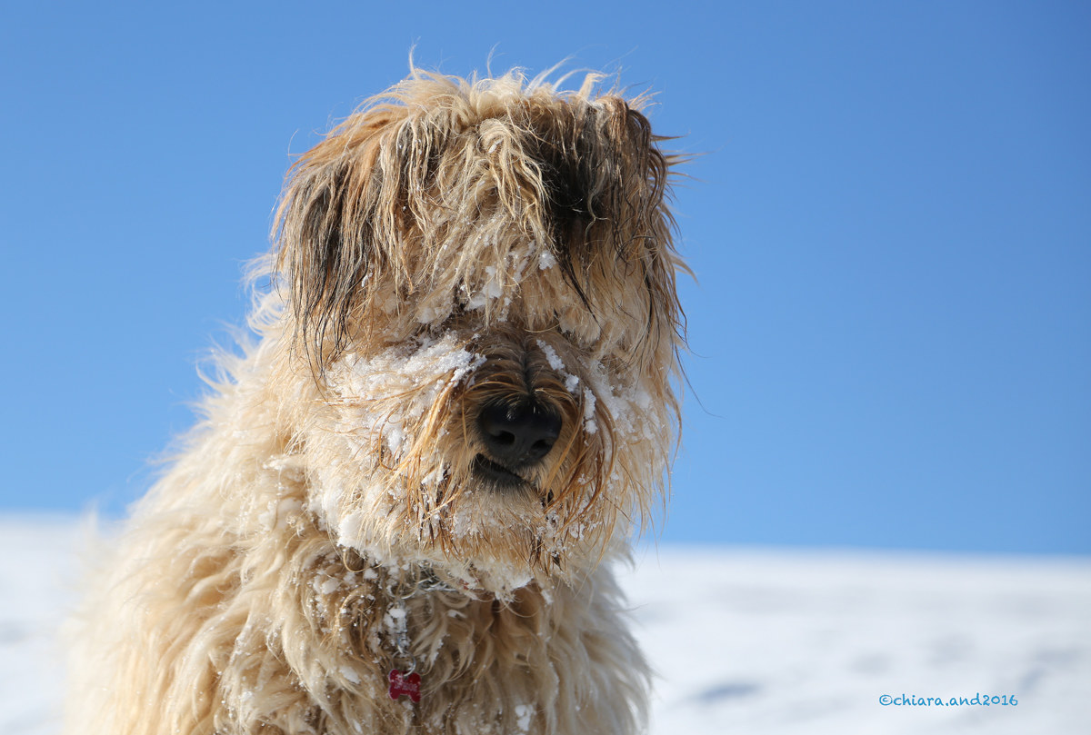ma ... quando si va a casa?????????