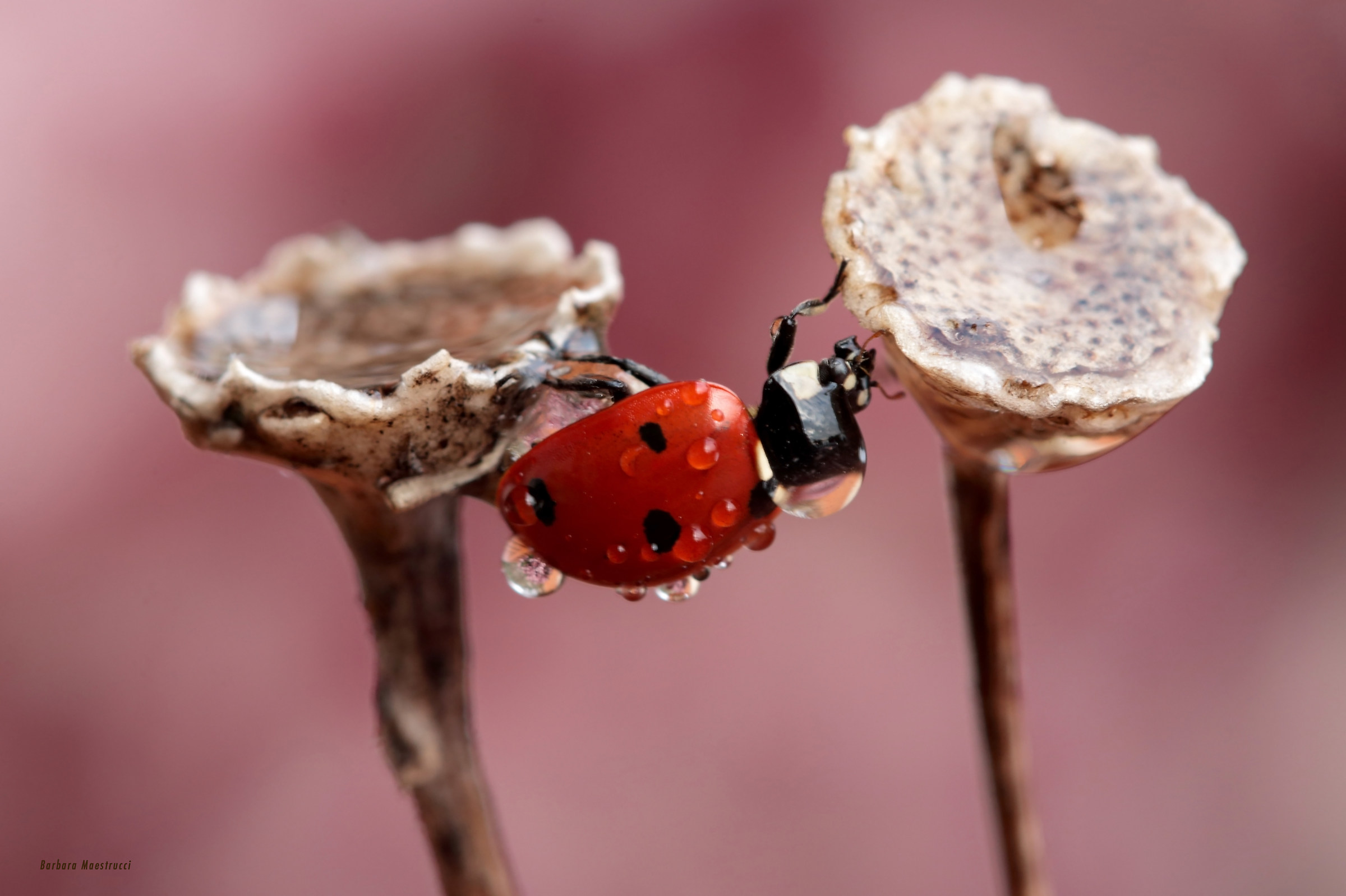 From one to another ....